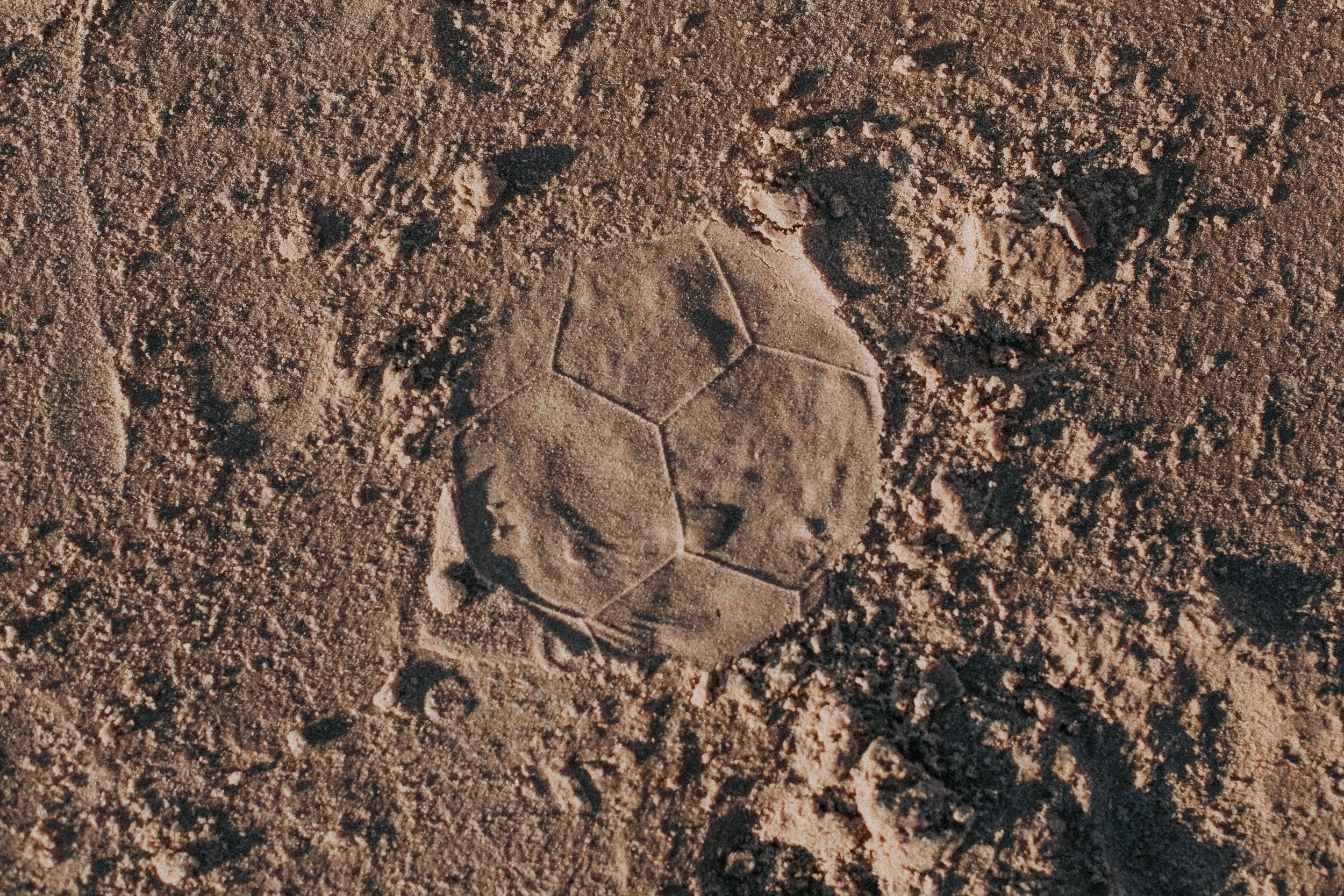 41-8854.jpg