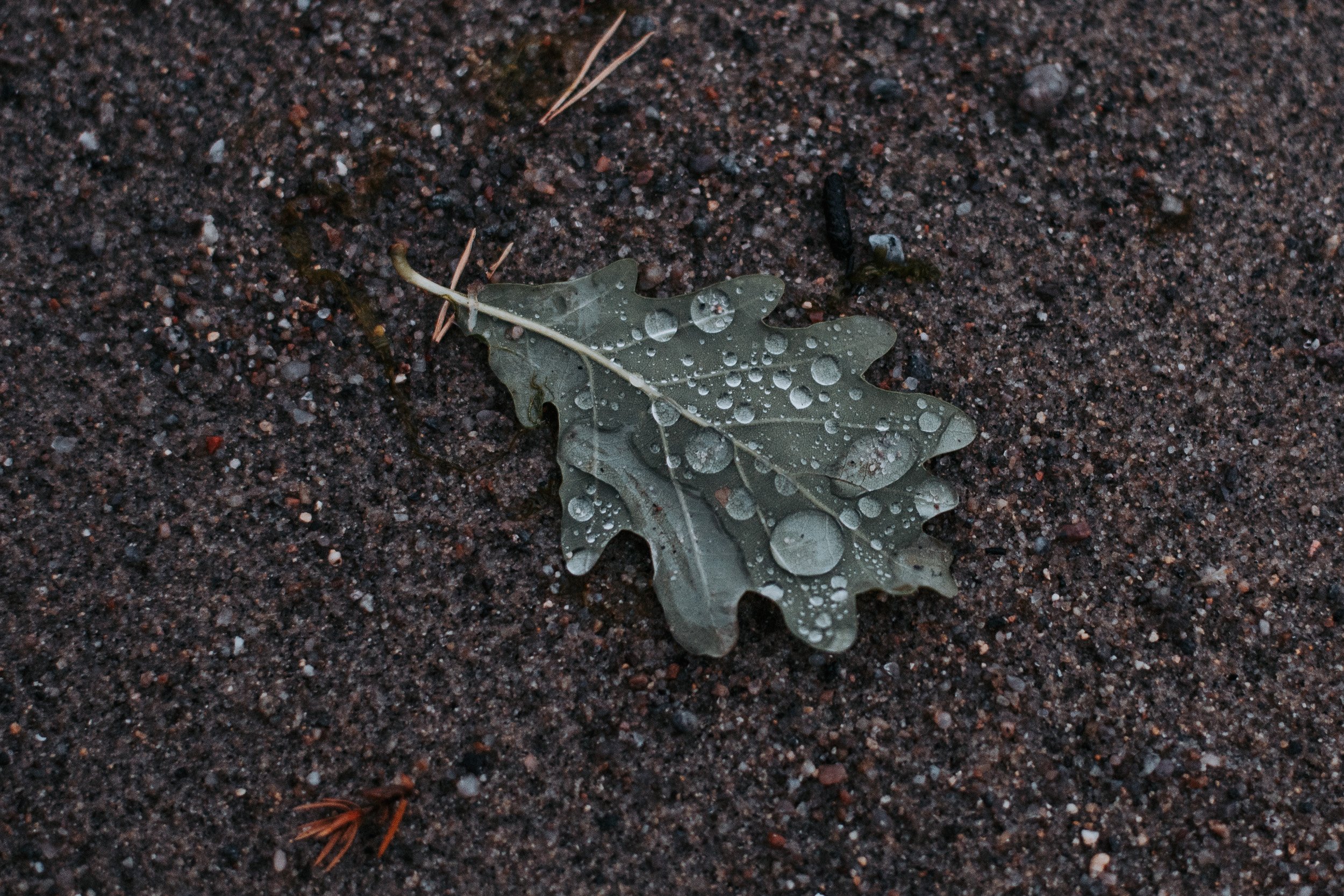 133-9634.jpg