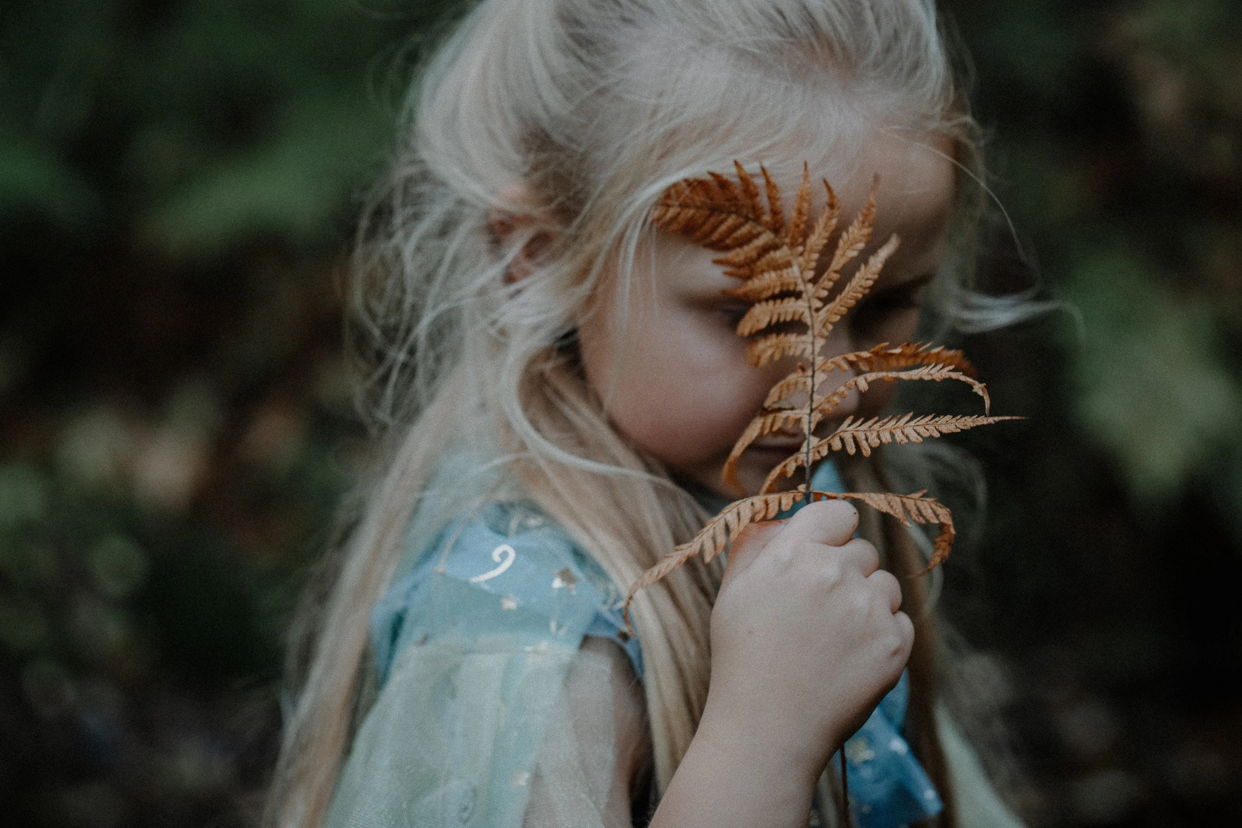 7-0713.jpg