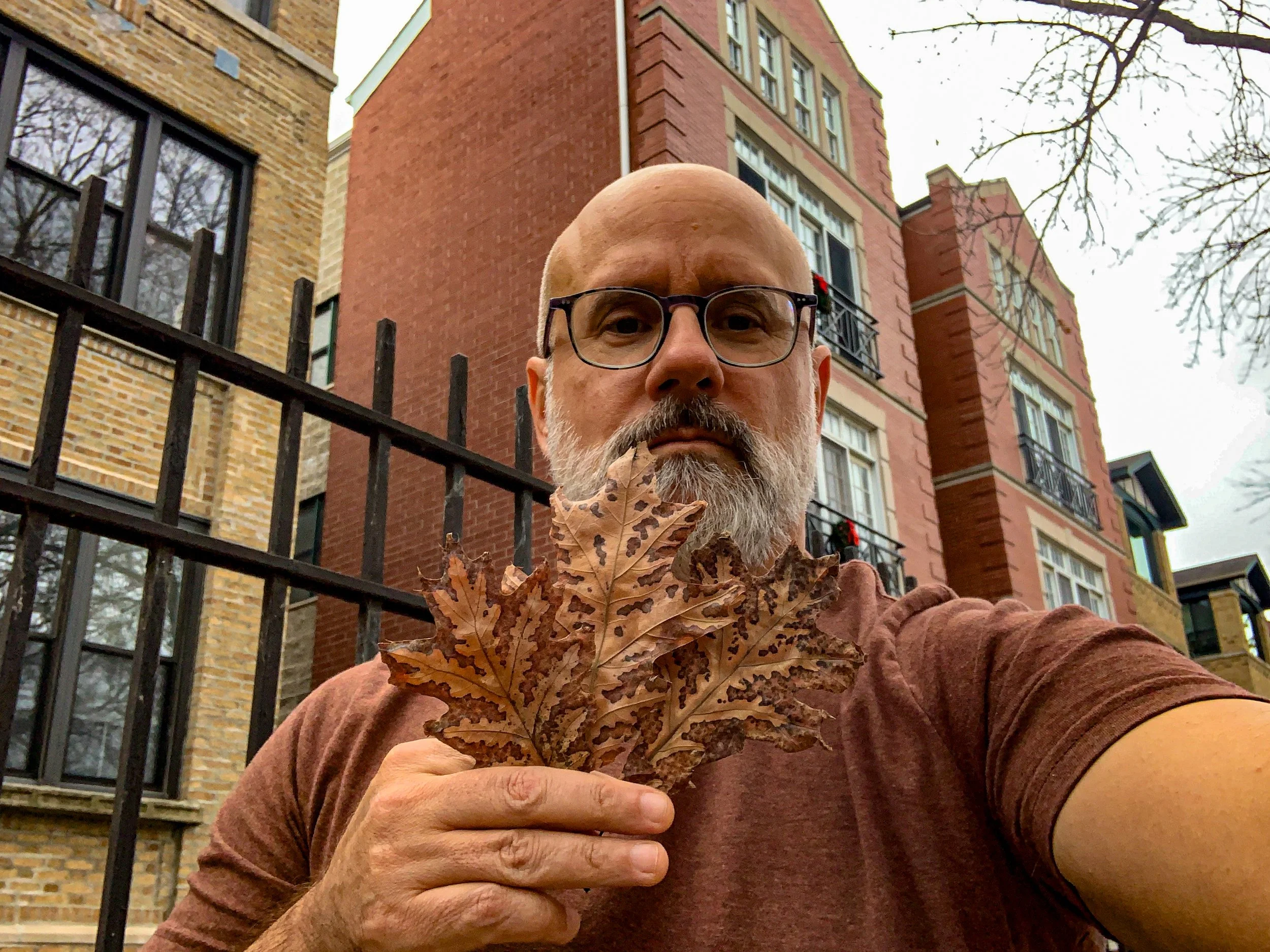 you too could find this