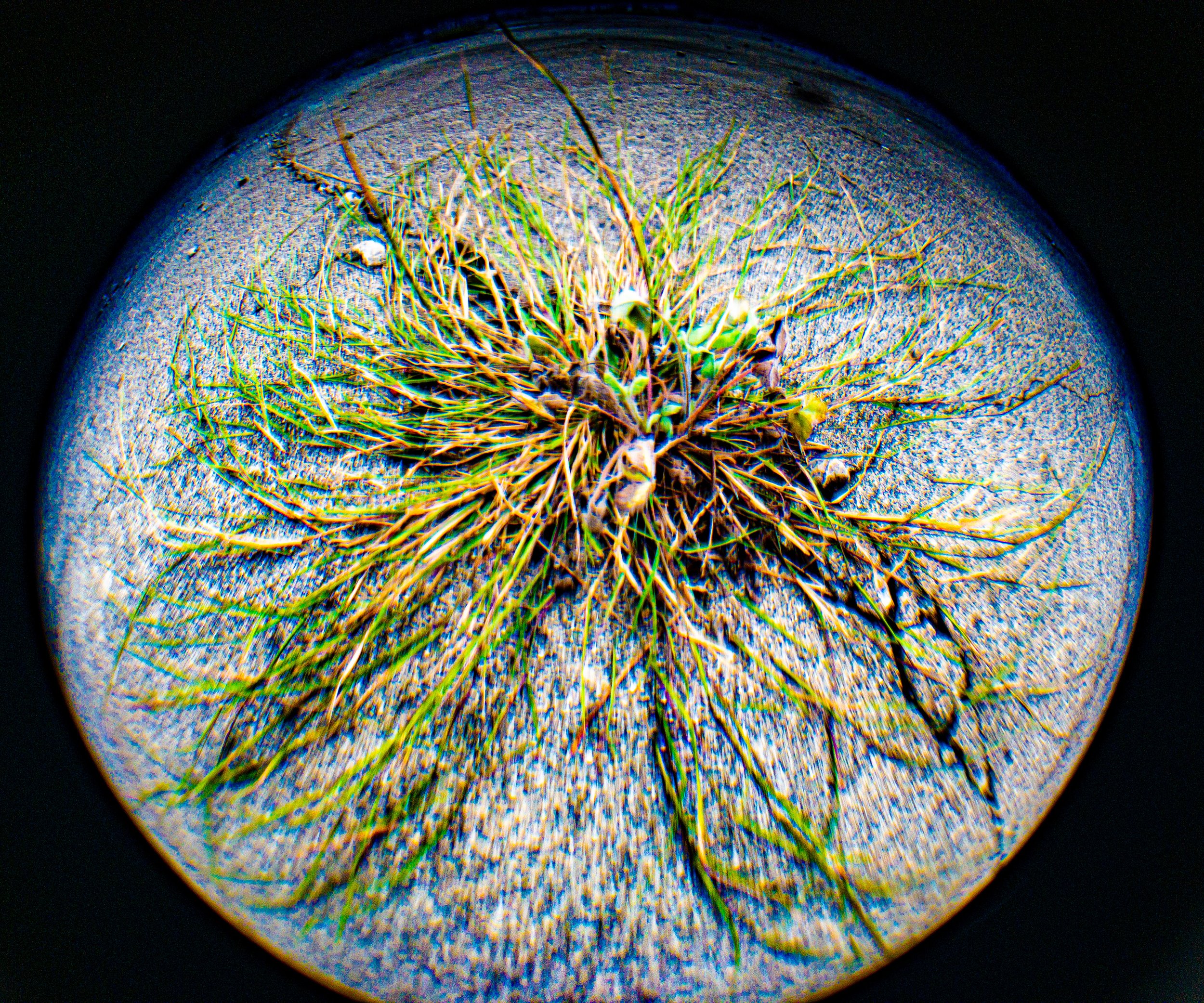 Very angry location once Food Town possibly, later