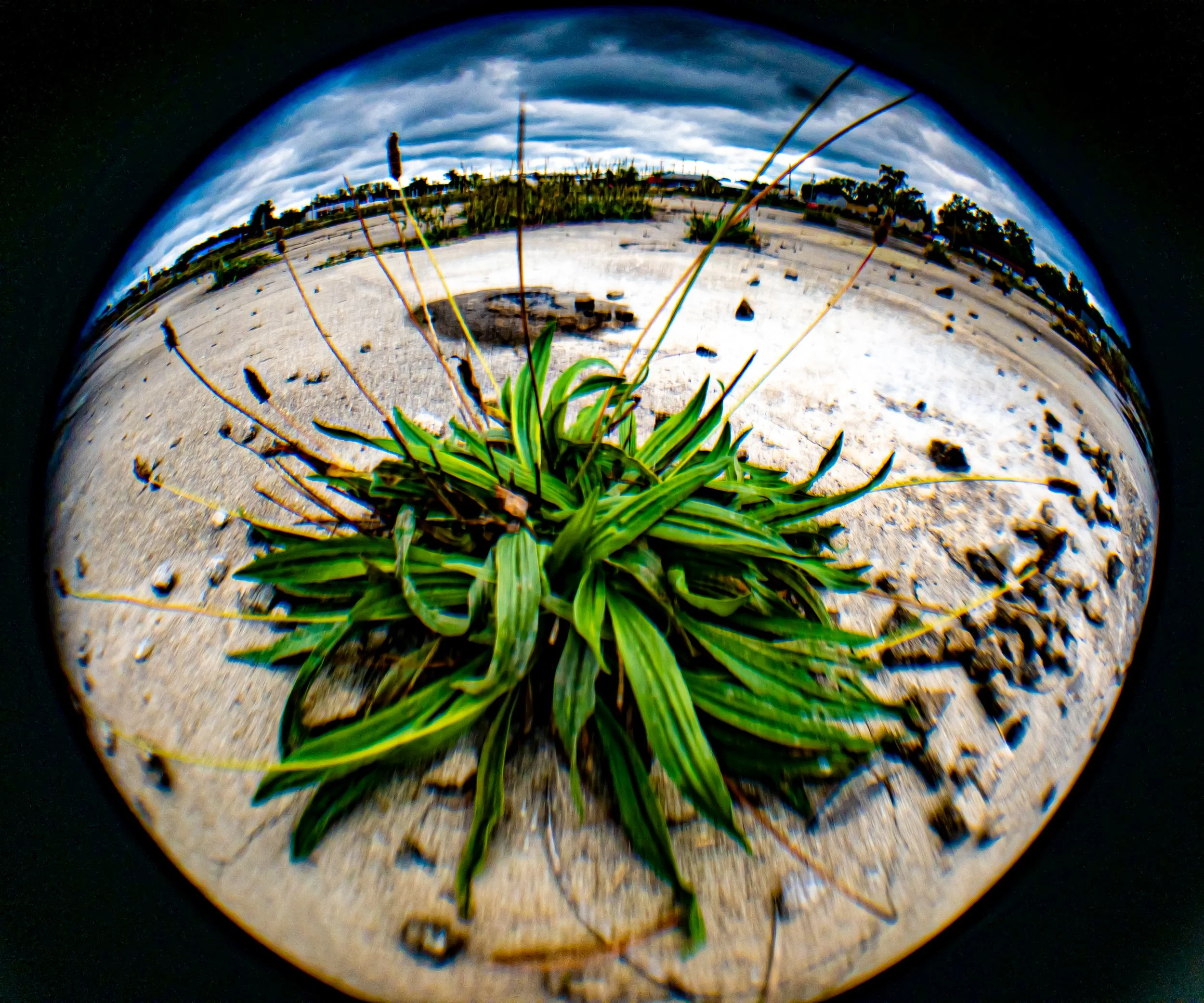 K-Mart break room possibly, later