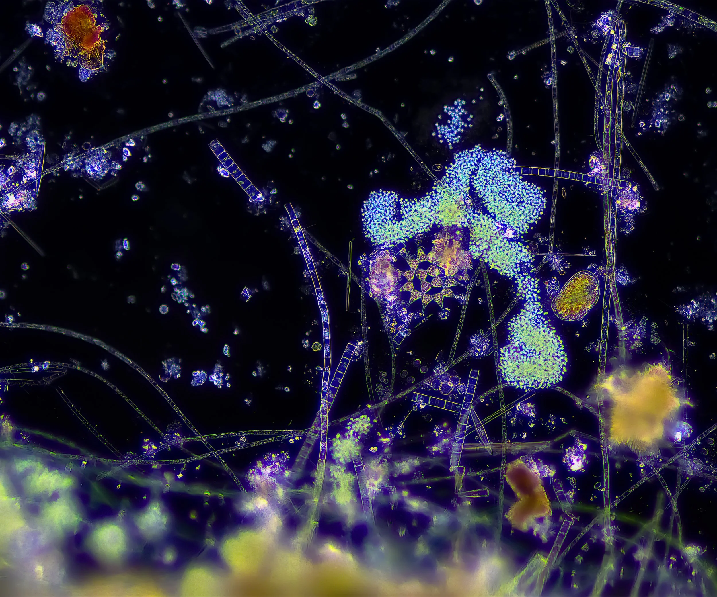 A scale not correct or incorrect true or untrue