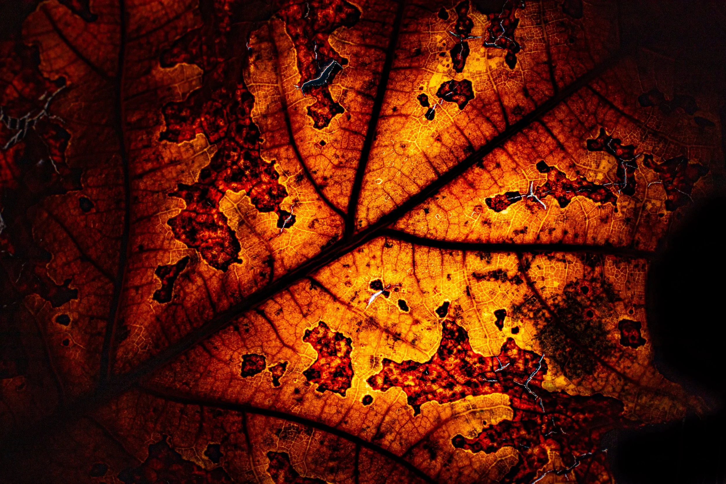 gradients and spotlights