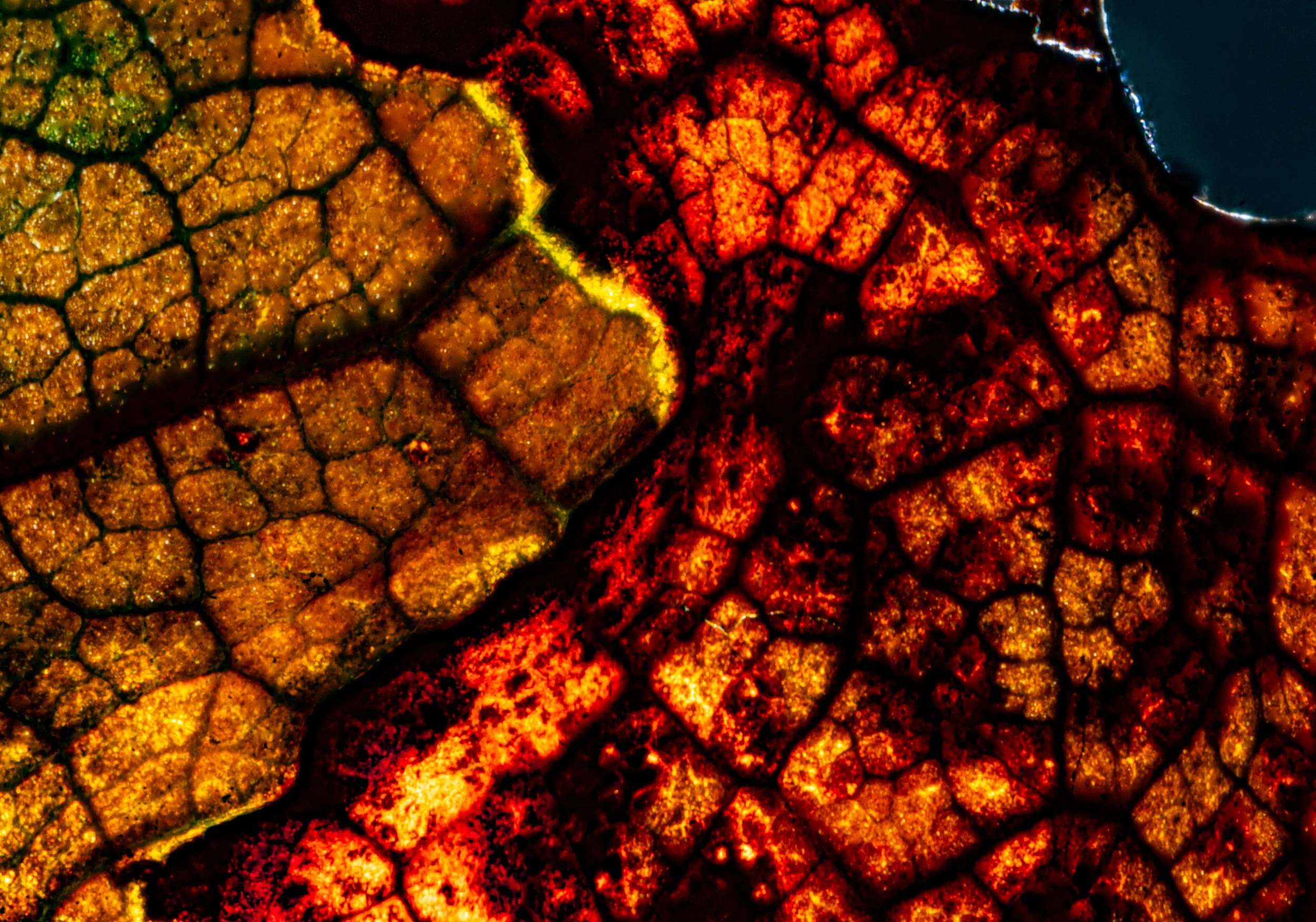 edge that was once not an edge