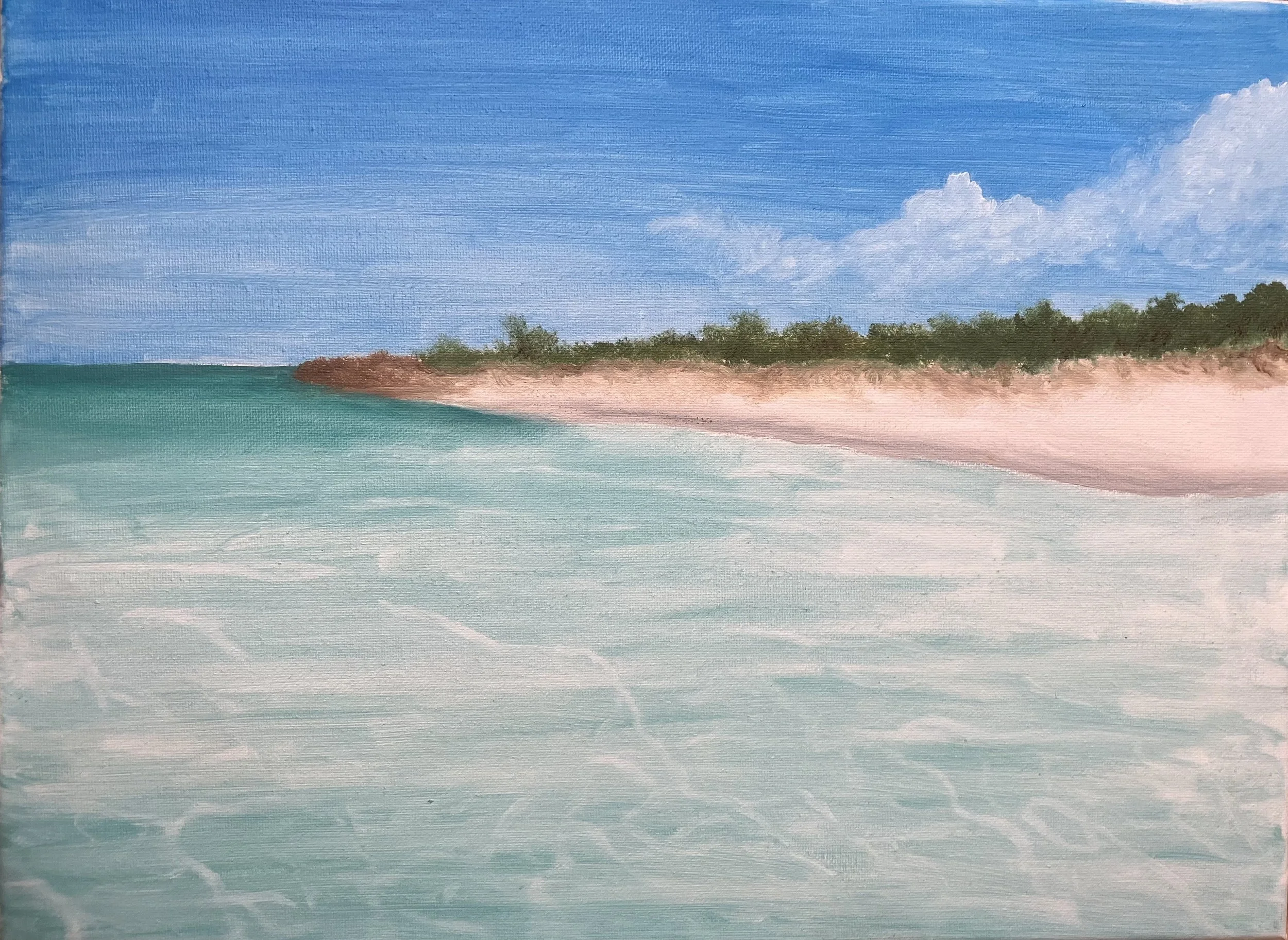Taylor Bay Beach (Turks & Caicos). Oil on canvas, 2024. 

A little reminder of our annual Christmas trips.