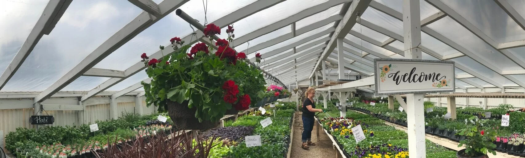 About — RIVER RUN GREENHOUSE