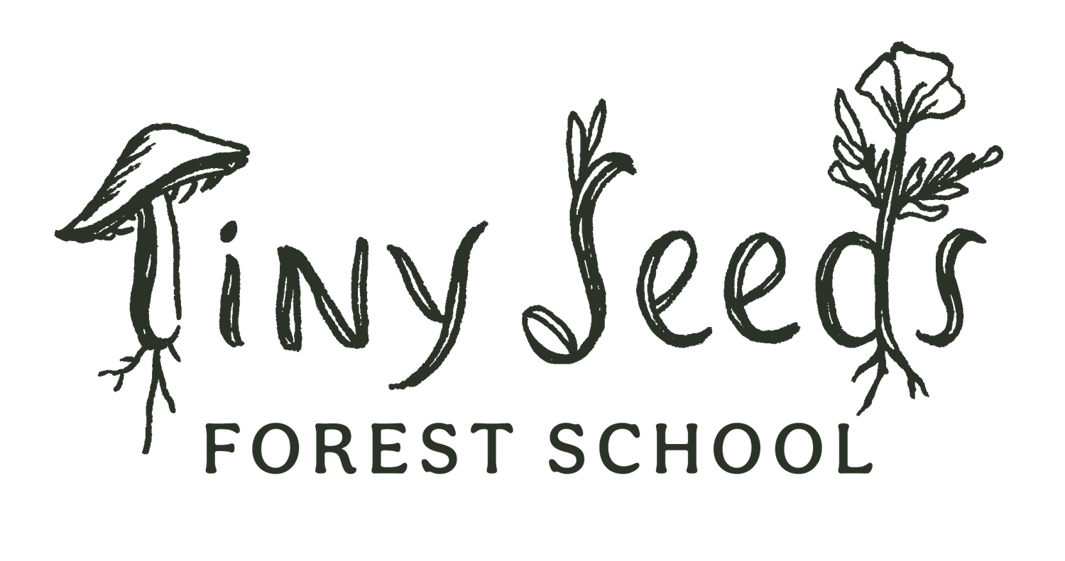 Tiny Seeds Forest School
