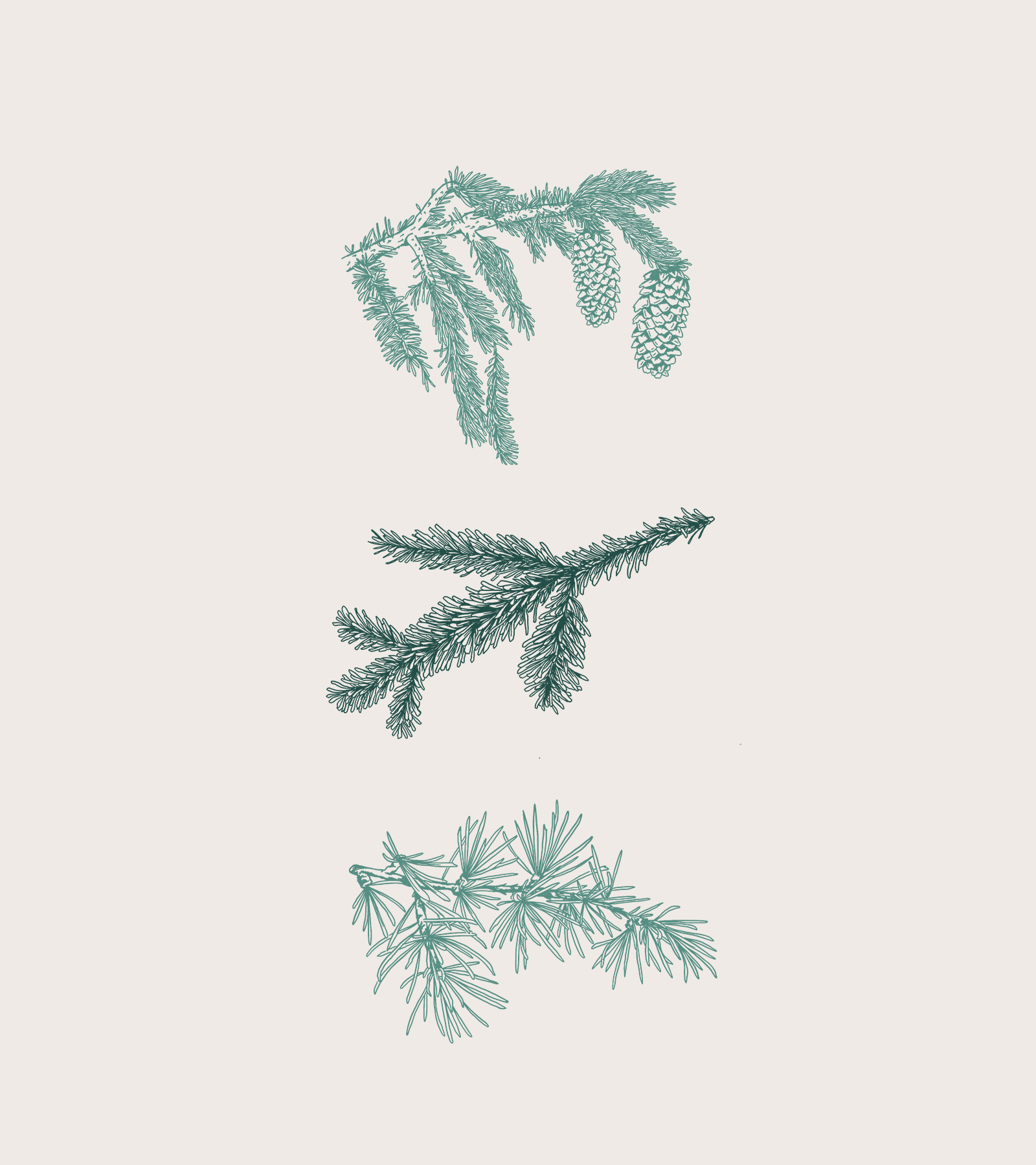 HighlandTrees.png