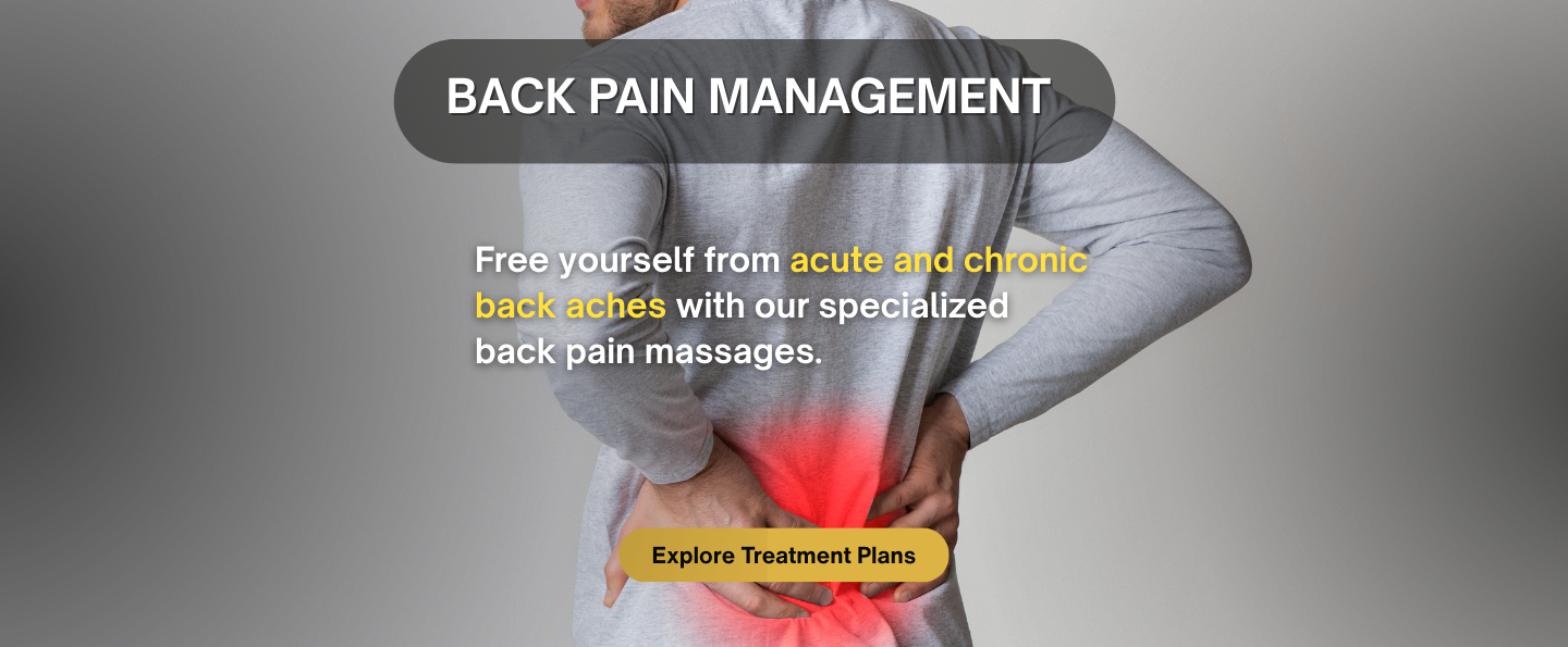 A man in a gray hoodie holds his lower back with a red highlight indicating pain. The background is a neutral gray. Overlay text promotes back pain management and treatment plans.