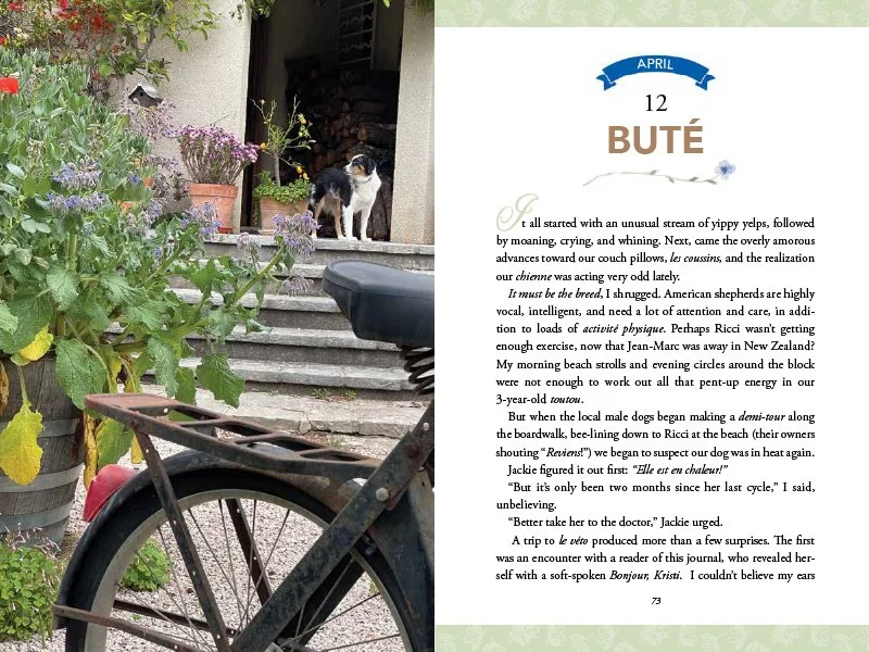 “A Year in a French Life” interior