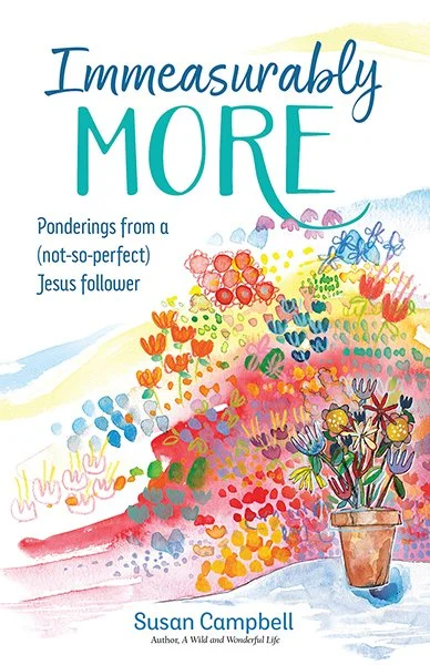 Immeasurably More by Susan Campbell