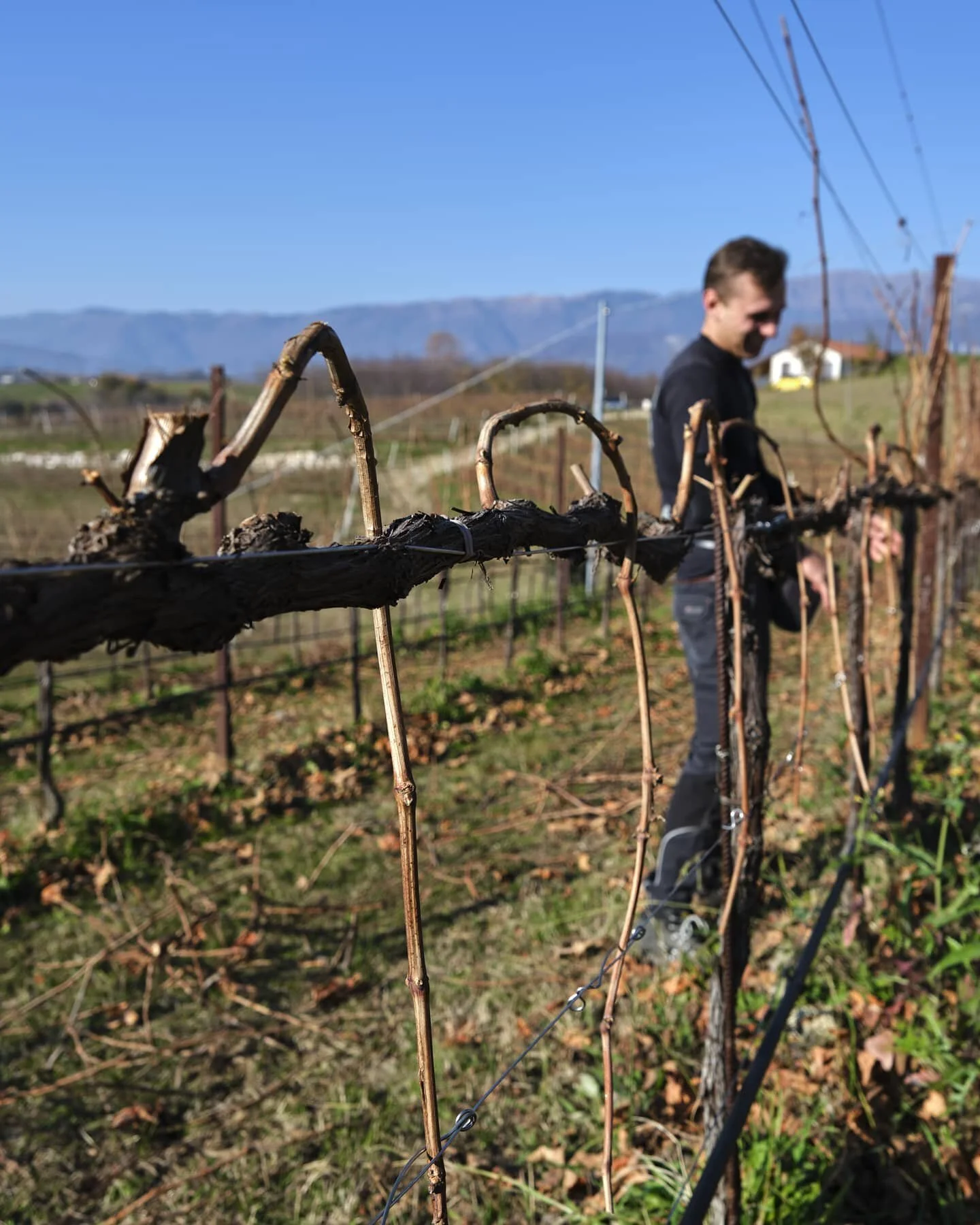 La vita in campagna &egrave; segnata da momenti; momenti di sudore e momenti di gioia, momenti in cui preoccuparsi per il futuro e momenti in cui serve fermarsi ad apprezzare tutto il lavoro fatto. Scopri di pi&ugrave; su www.santiziano.com/lazienda
