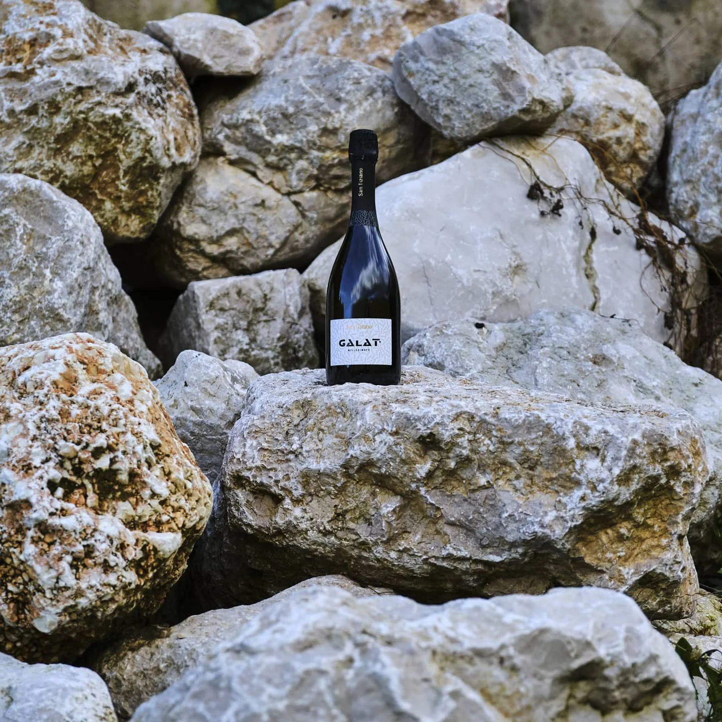 Il Galat &egrave; figlio del suo territorio, Sarmede, e della sua terra, caratterizzata dalla Marna. Un substrato roccioso la cui composizione di Calcio e Magnesio che rendono uniche le uve che vi crescono. Scopri di pi&ugrave; su Sarmede ed il suo t