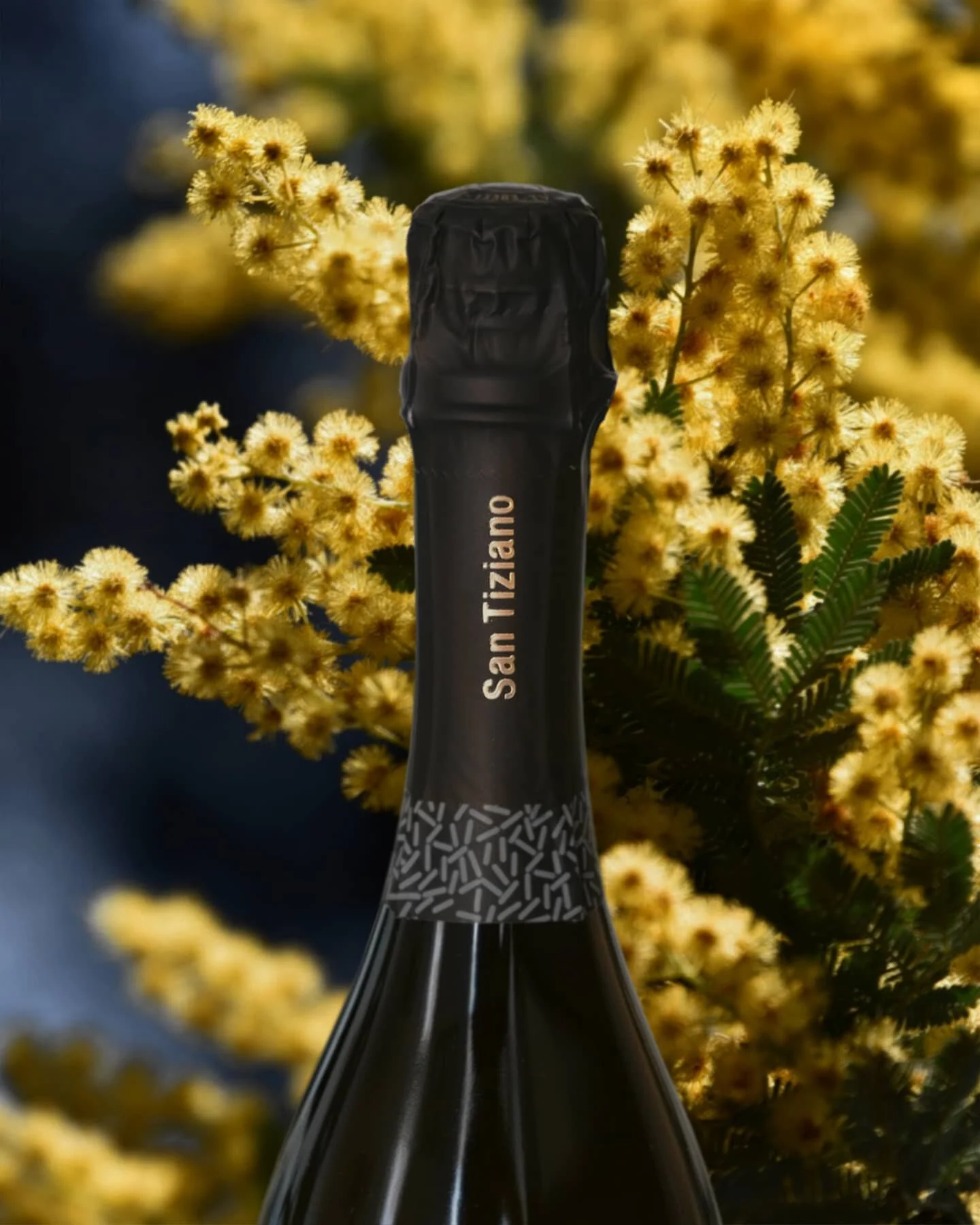 Il primo assaggio di primavera 🌷

The first taste of spring 🌷

#festadelladonna #SanTiziano #Galat #Sarmede #8marzo