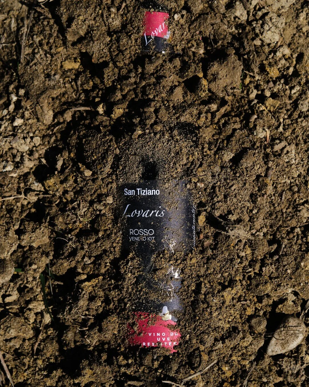 Il frutto di una terra ricca e generosa, quella delle colline di Sarmede, che ci consente di produrre i vini nel pieno rispetto della natura grazie ai suoi venti che, accarezzando i nostri grappoli, mantengono le nostre uve sane e perfette per la cre