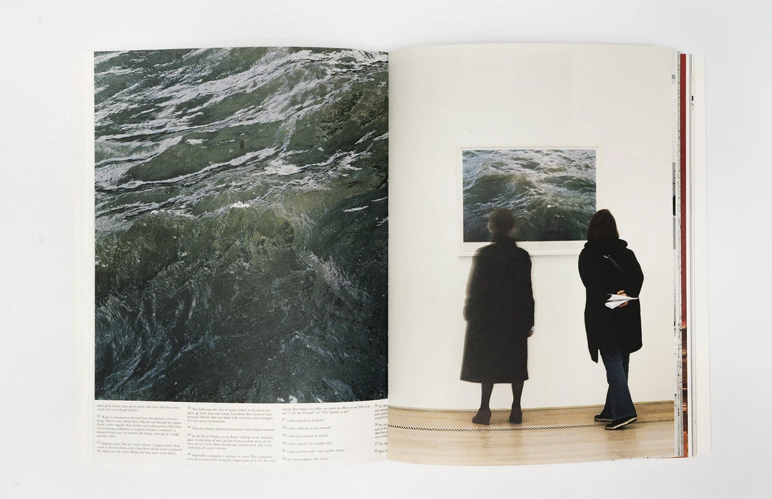 Roni Horn Catalog published by Glenstone Foundation (2016-17). Printed by Meridian