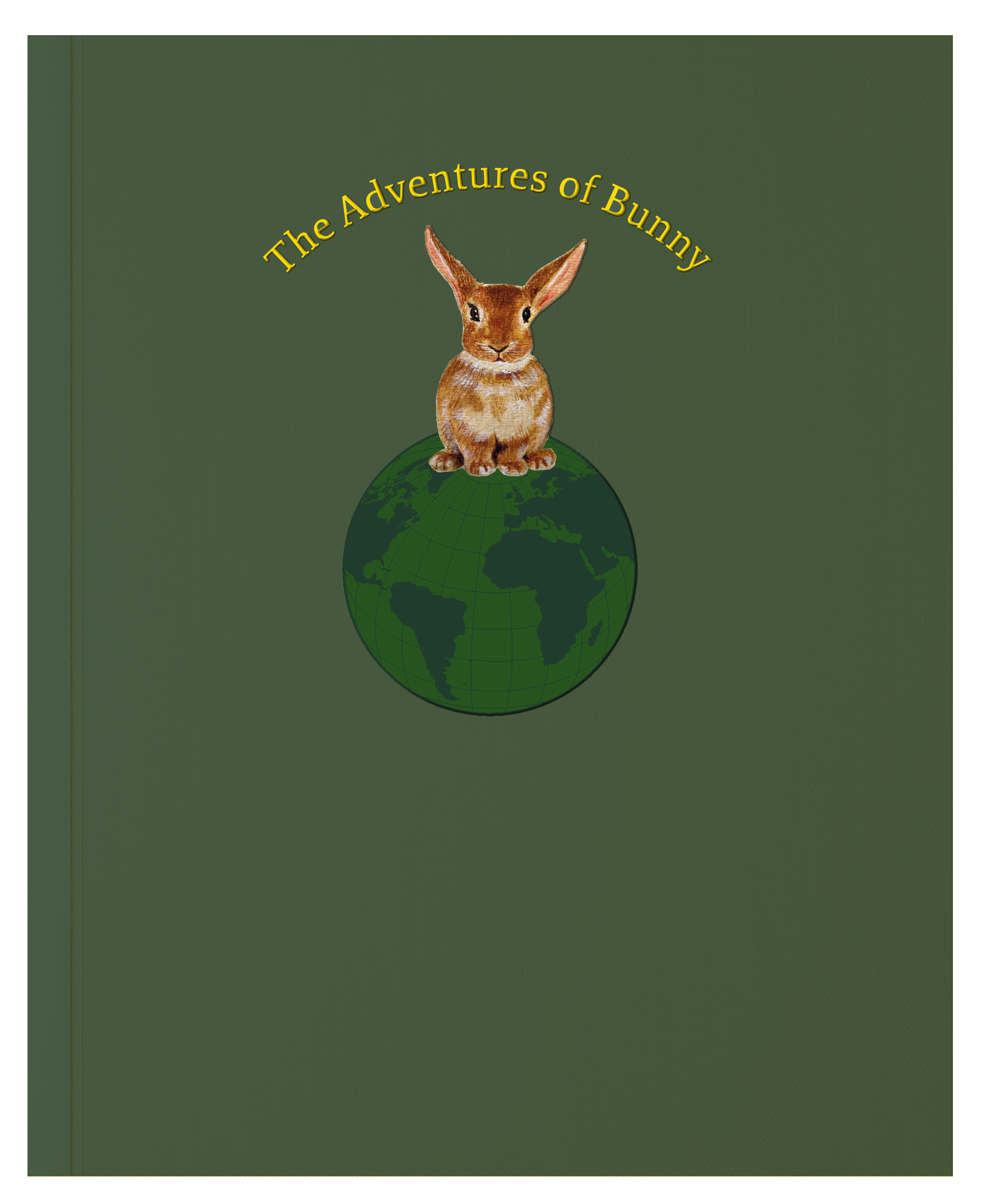 The Adventure of Bunny - Cover
