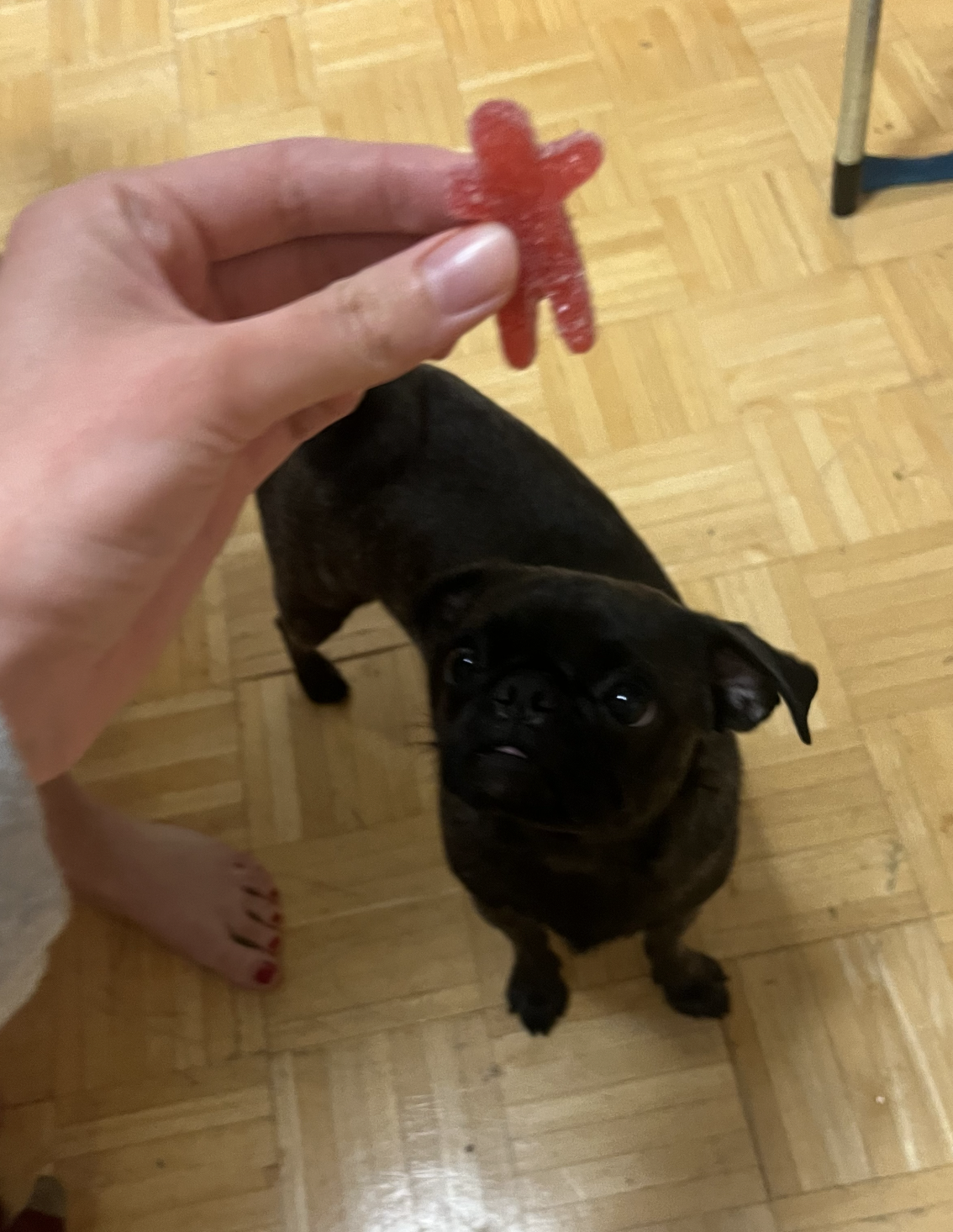 a gummy imposter