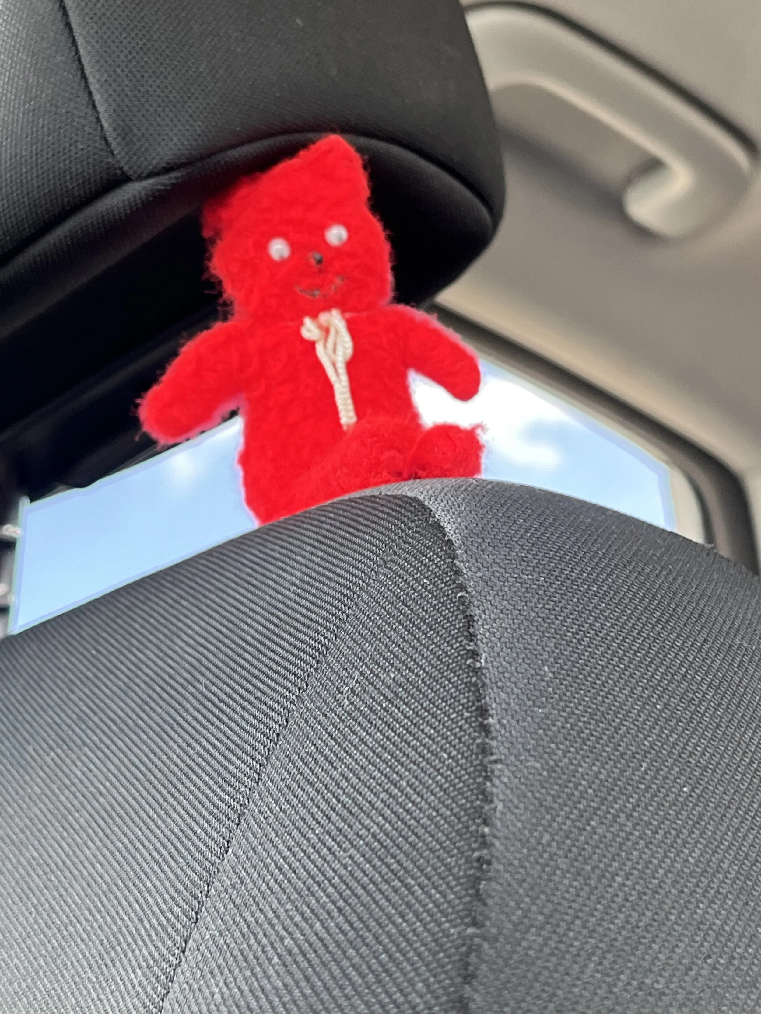 Chester riding shotgun