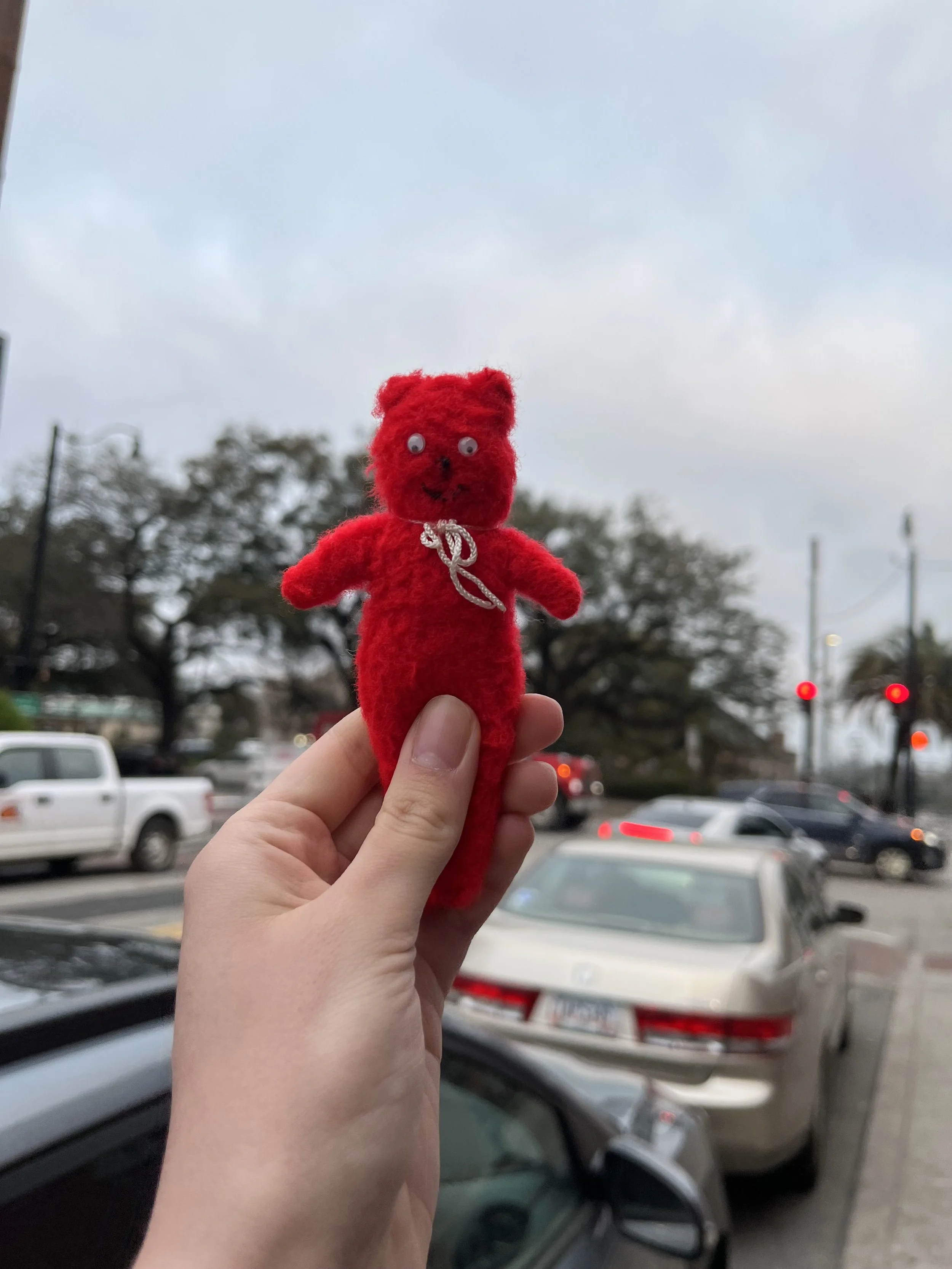 Chester in Savannah, Georgia
