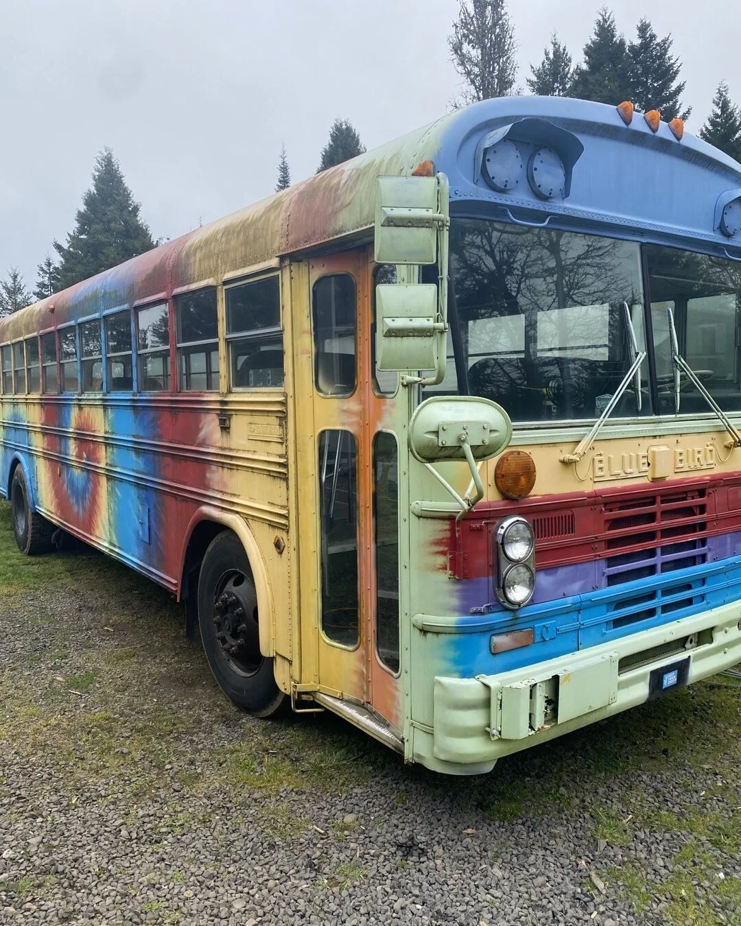 We&rsquo;re getting the ball rolling on building out the bus into a magical mobile market machine! A Nursery on wheels, mobile art gallery, vintage clothing shop, community cafe, rambling apothecary and more will eventually be found in this bus in a 