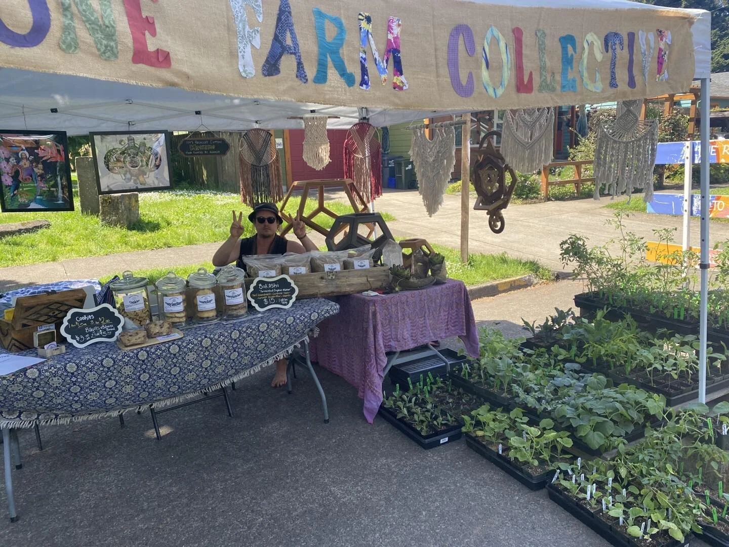 Hello and good day from the one farm collective fam. We&rsquo;re down here celebrating at the @whiteakercommunitymarket ! We&rsquo;ve got bagels, banana bread, cookies, lots of plant starts , fine art and bokashi! Come by the booth and getcha some💜?