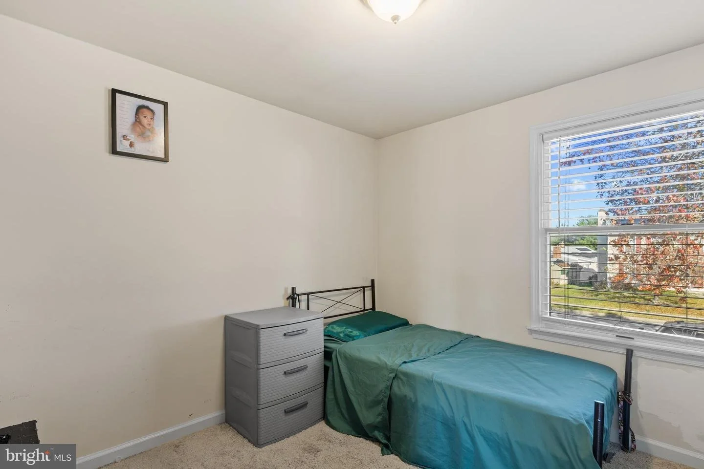 GetMedia - 2024-11-27T133522.937.jpeg