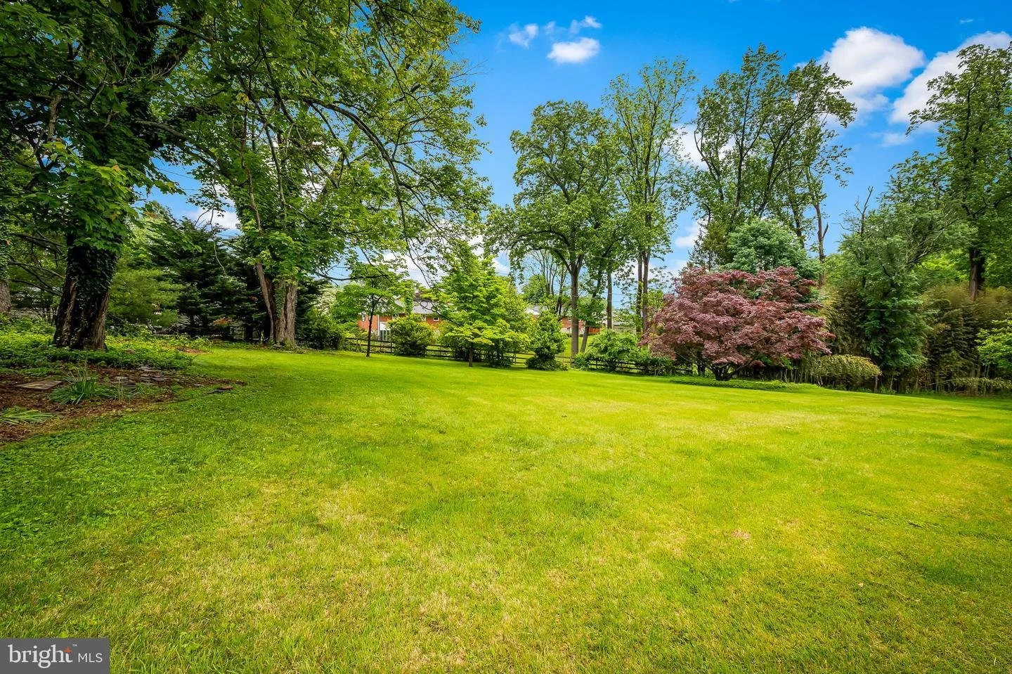 GetMedia - 2025-05-29T115023.788.jpeg