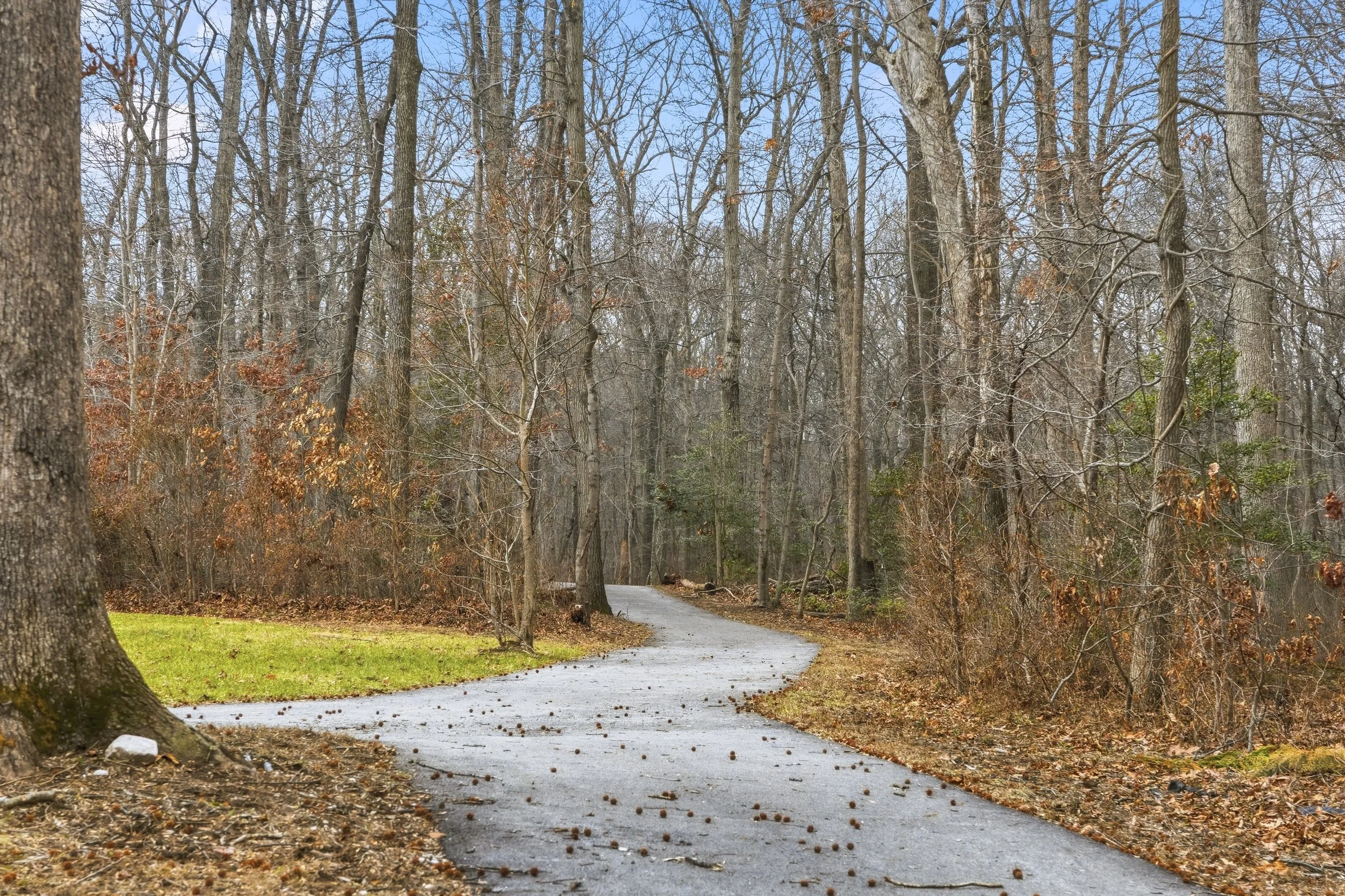 6312 Osterley Street, Middle River,  21220-232.jpg-FULL.JPG