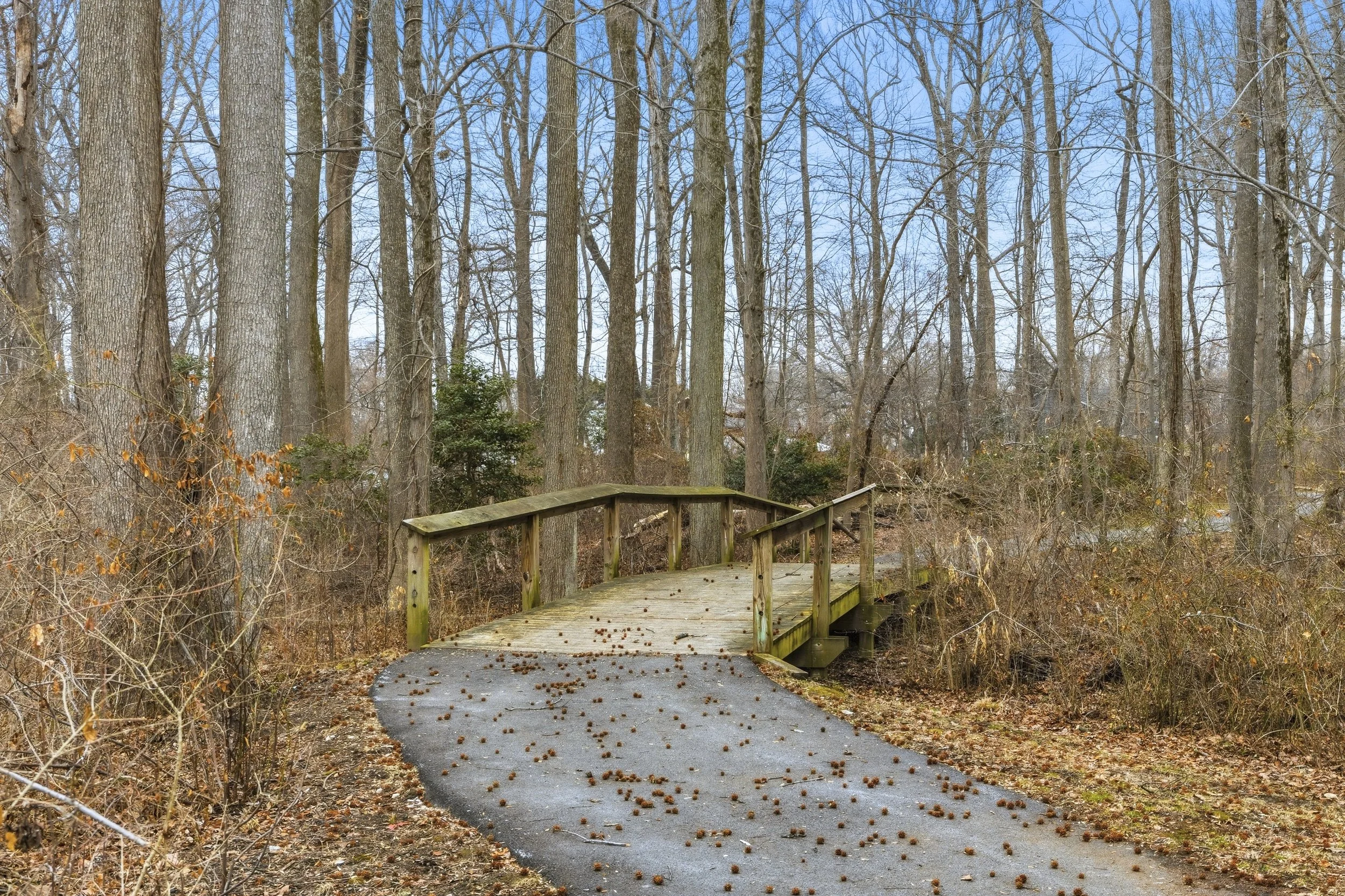 6312 Osterley Street, Middle River,  21220-237.jpg-FULL.JPG