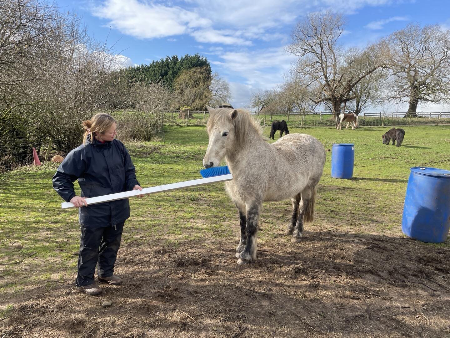 Just another day on the farm. After a late breakfast it&rsquo;s toothbrush time for the horses