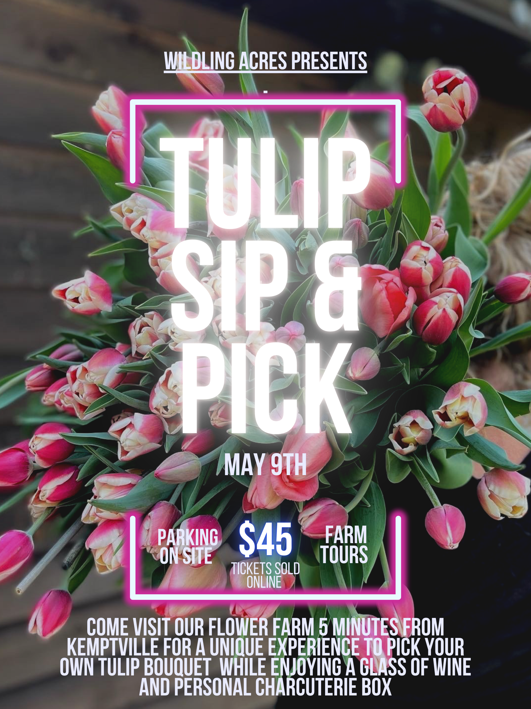 Tulip Sip and Pick.png.PNG