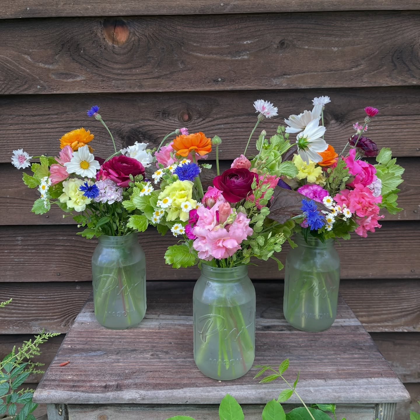 💐 A few of today&rsquo;s beauties for @kemptville_farmers_market. 

👩🏼&zwj;🌾These June flowers are a labour of love and full of everything but the kitchen sink. Soon we&rsquo;ll be rolling in blooms and we can&rsquo;t wait.

🔥We know it&rsquo;s 