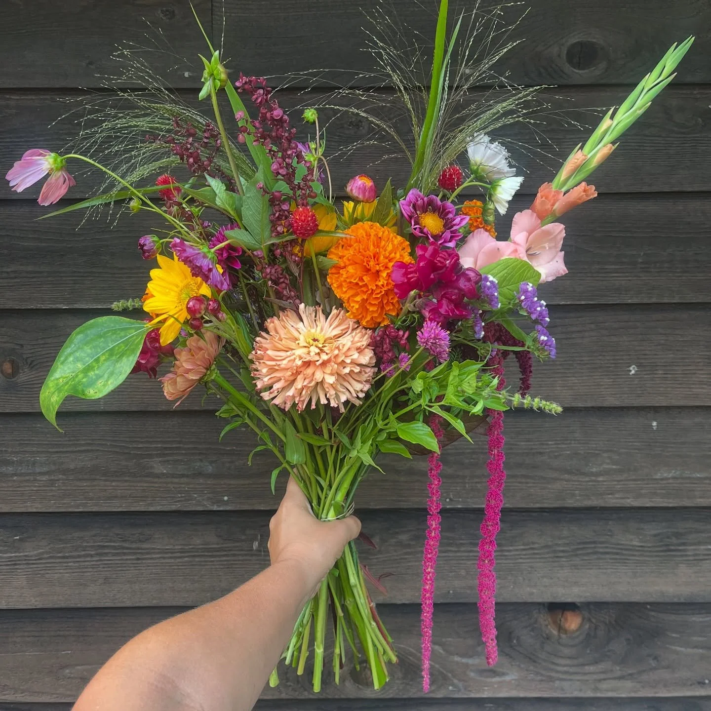 👯Ladies and Gentlemen, I give you The Jenna!

💐This week bouquet subscriptions are all inspired by my vibrant, magical, spunky, colourful, kick ass, friend who is battling hard right now after a long, very difficult surgery and medical journey.  th
