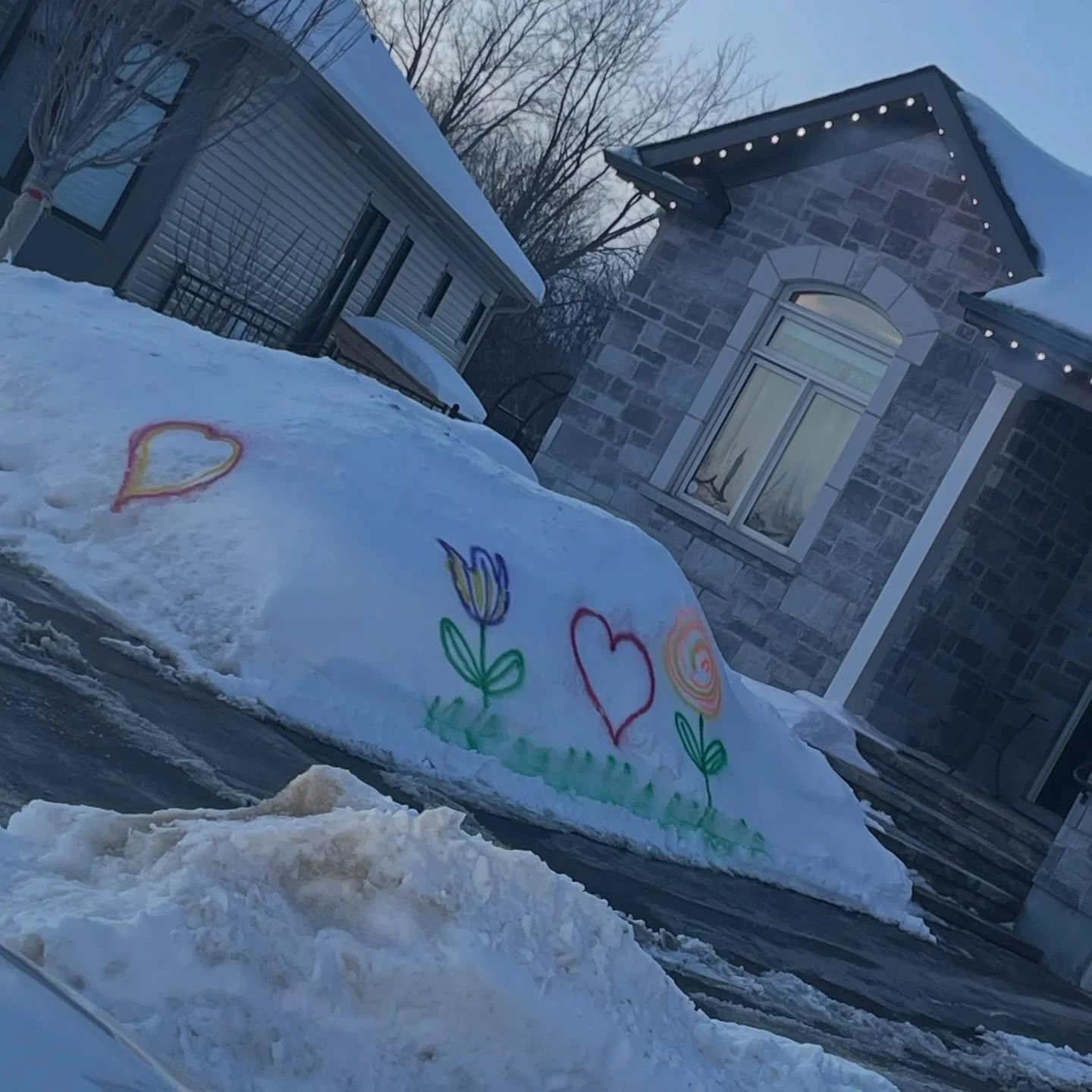 Just when we&rsquo;re deep in the dreary days of winter when we&rsquo;re all itching to get back int our gardens we drove by this little MASTERPIECE that got us excited🌷

We wanna thank this artist properly: So if you&rsquo;re the owner of this magi