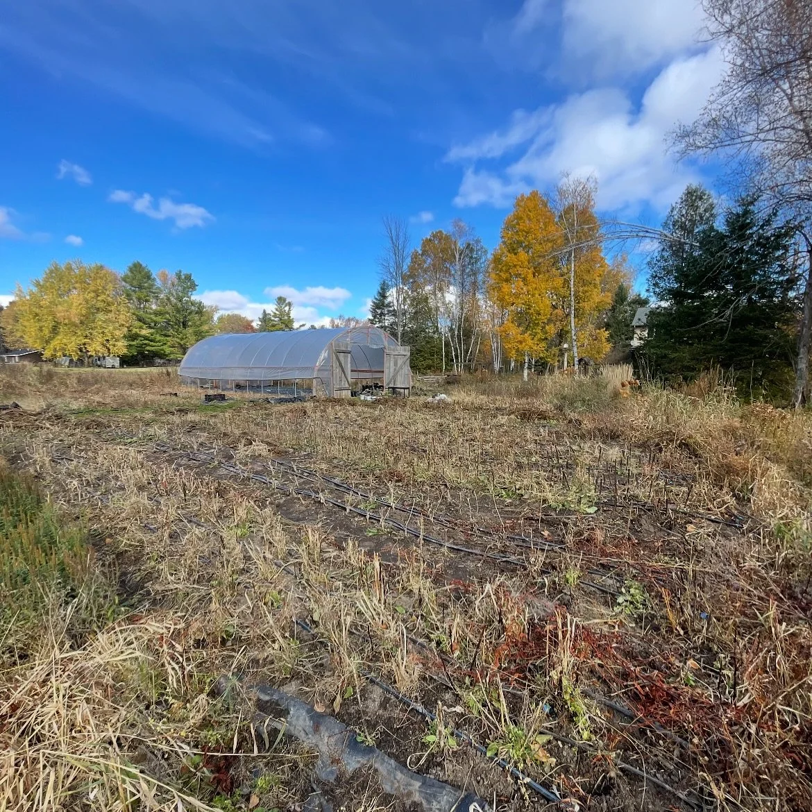 Fall Vibing. This is the prettiest time of year in Ontario IMO!