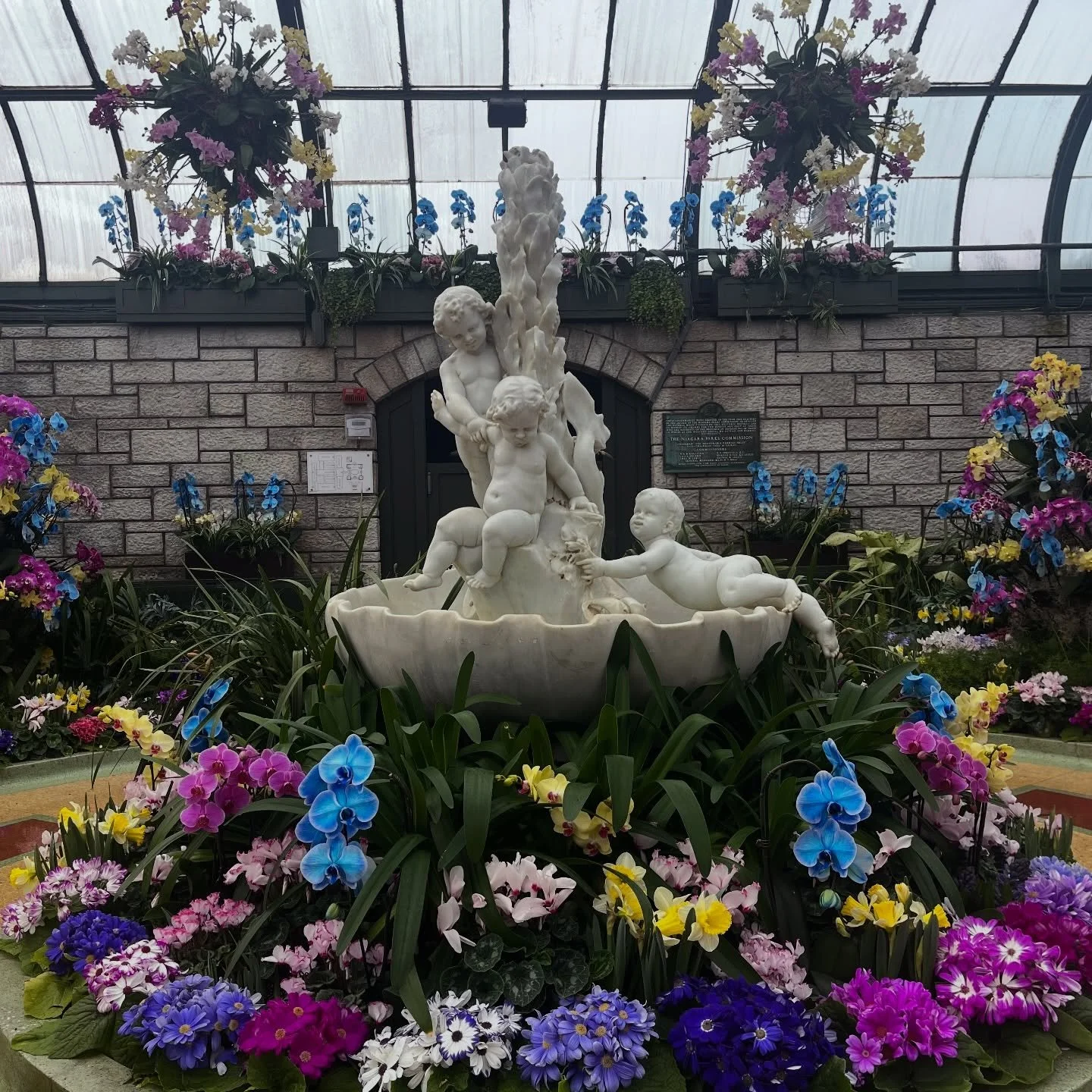 Happy International Women&rsquo;s Day everyone!

Thank you to the many strong,  independent, women that have been part of my girl tribe through the years. I truly think in order to be successful and happy all of us need a squad, people we can dream w