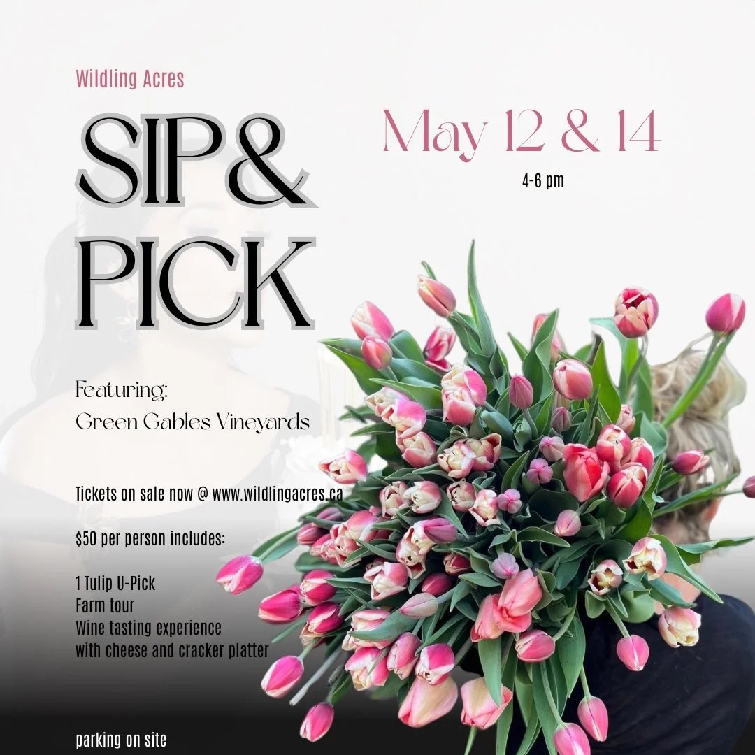 🌷🍷 Raise a glass while picking some blooms-It&rsquo;s that time again at Wildling Acres for our annual Sip &amp; Pick!

Grab your friends, snag a ticket, and wander the fields with a wine tasting in hand. It&rsquo;s the perfect chance to stop and s