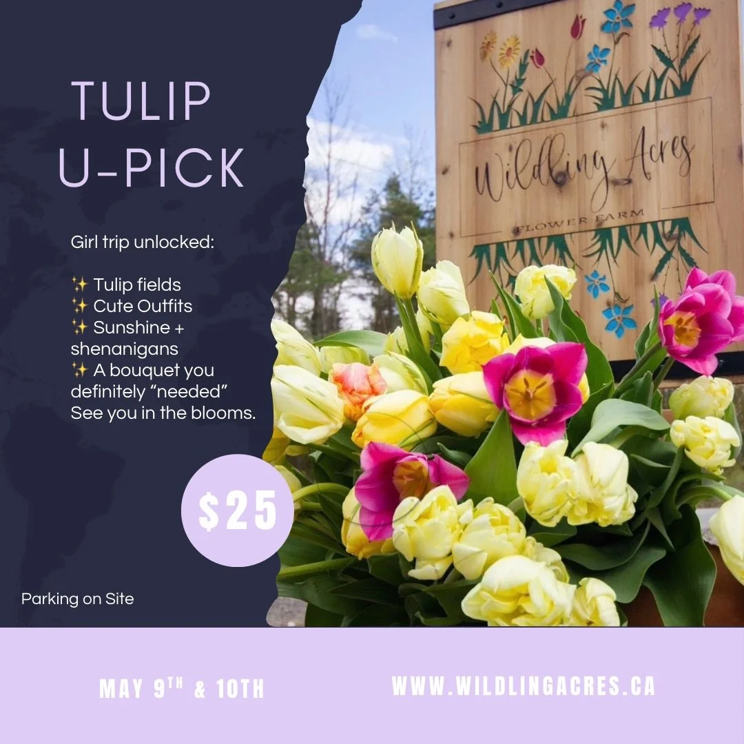 Mothers Day rule: if she raised you, she deserves flowers she didn&rsquo;t have to water. Grab your momma or your girl squad and come start your spring vibes in the tulips-tell her that her bouquet is better than a yours!🌷🌷🌷🌷🌷🌷🌷🌷🌷🌷🌷🌷🌷🌷?