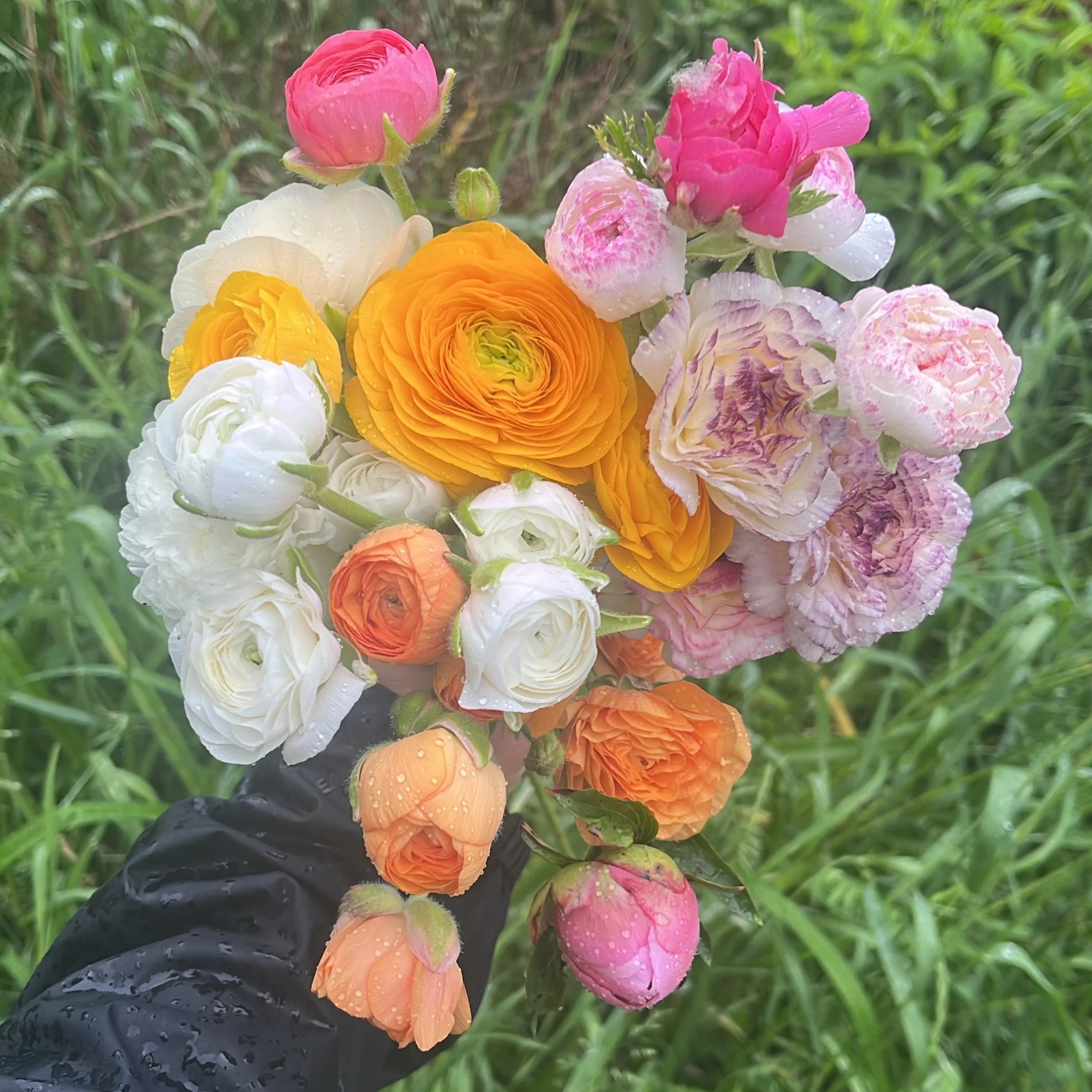 💜👩🏼&zwj;🌾 3 Things we wish everyone knew about Ranunculus:

1: They have a rock start vase life!!!! Worth every penny.

2: They&rsquo;re kinda like mini peonies with way more colour variety. 

3: They have the perfect smell, not over powering at 