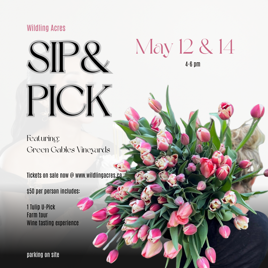 Tulip U-Pick Post.PNG