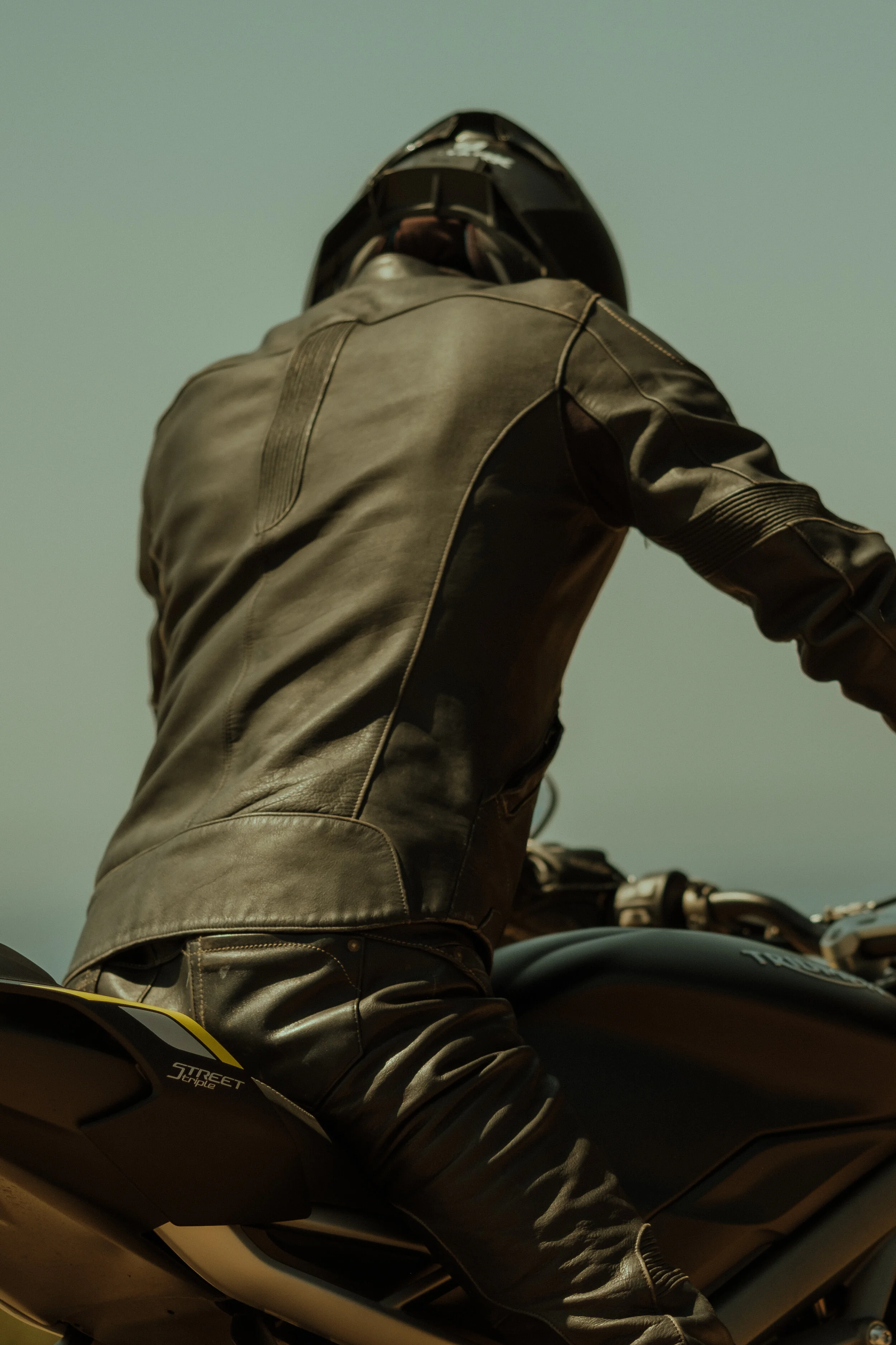 PAGNOL Motor - Art Director