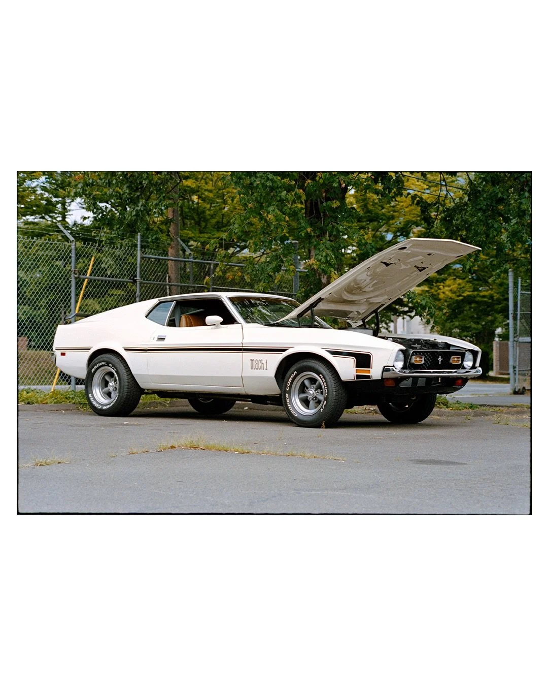 70s Mustang Mach 1: 

#kodakfilm #kodakprofessional #leicaR8 #ektacolorpro400