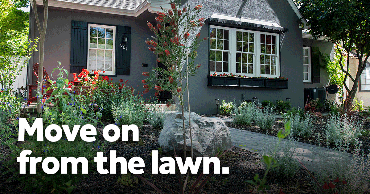 LAWN-REPLACEMENT-1200x628.gif