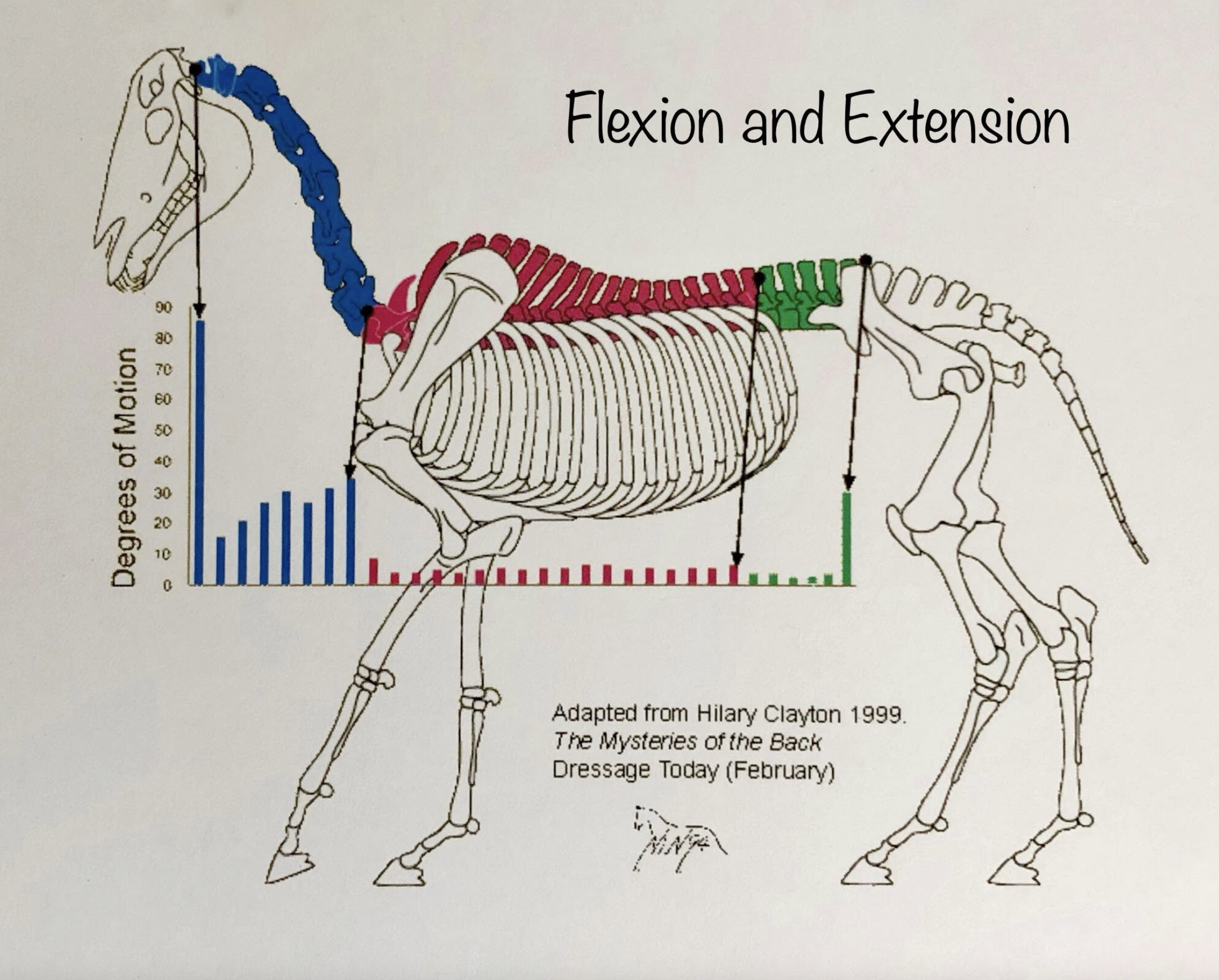 Form Follows Function