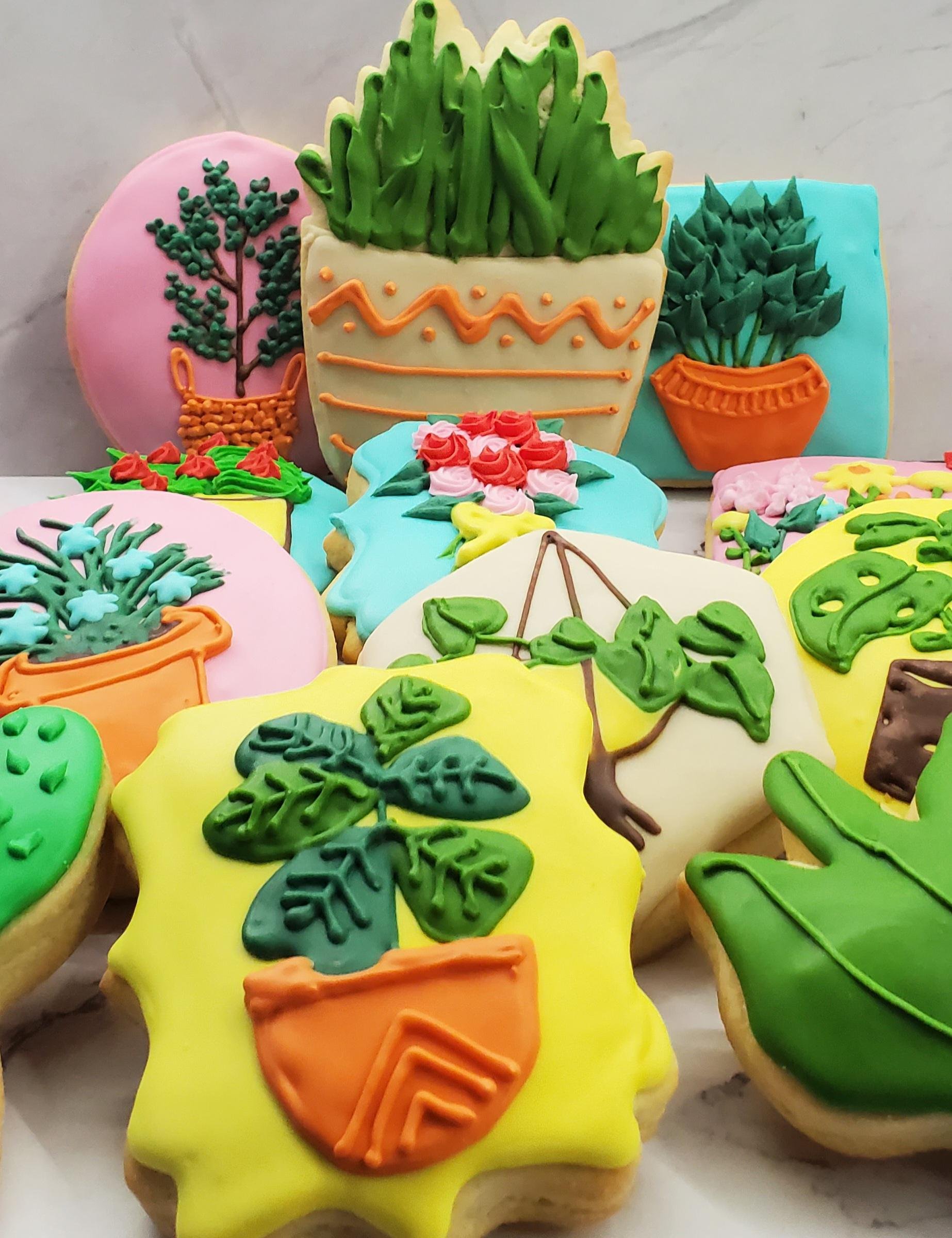 https://i.etsystatic.com/8251244/r/il/8458a9/6734516010/il_fullxfull.6734516010_gzrc.jpg