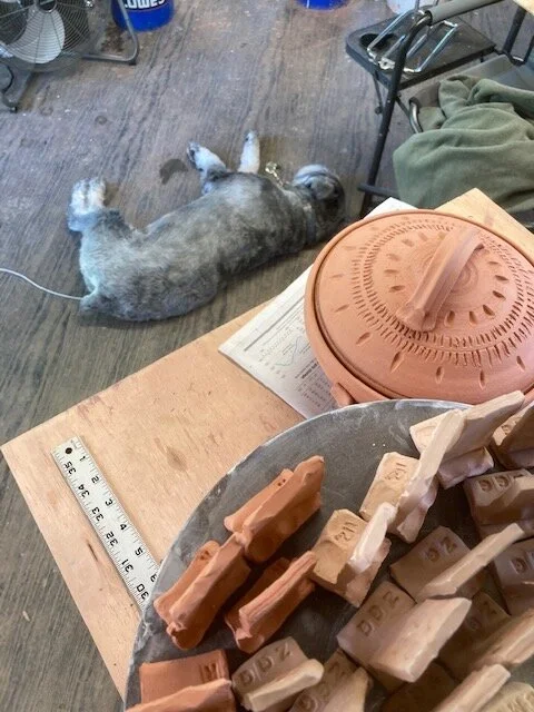 My helper-Stanley