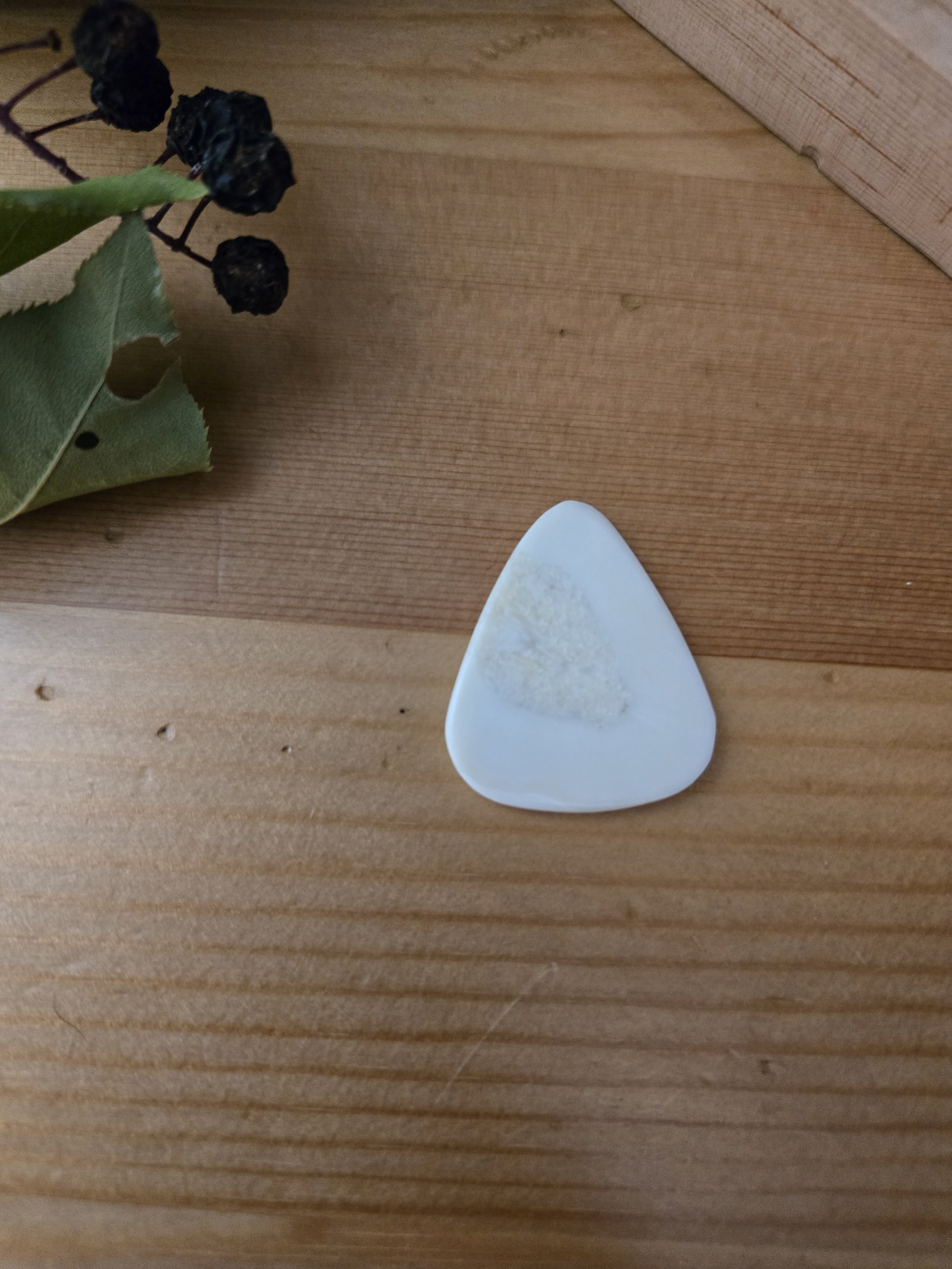 White Walrus Ivory Guitar Pick #WW1
