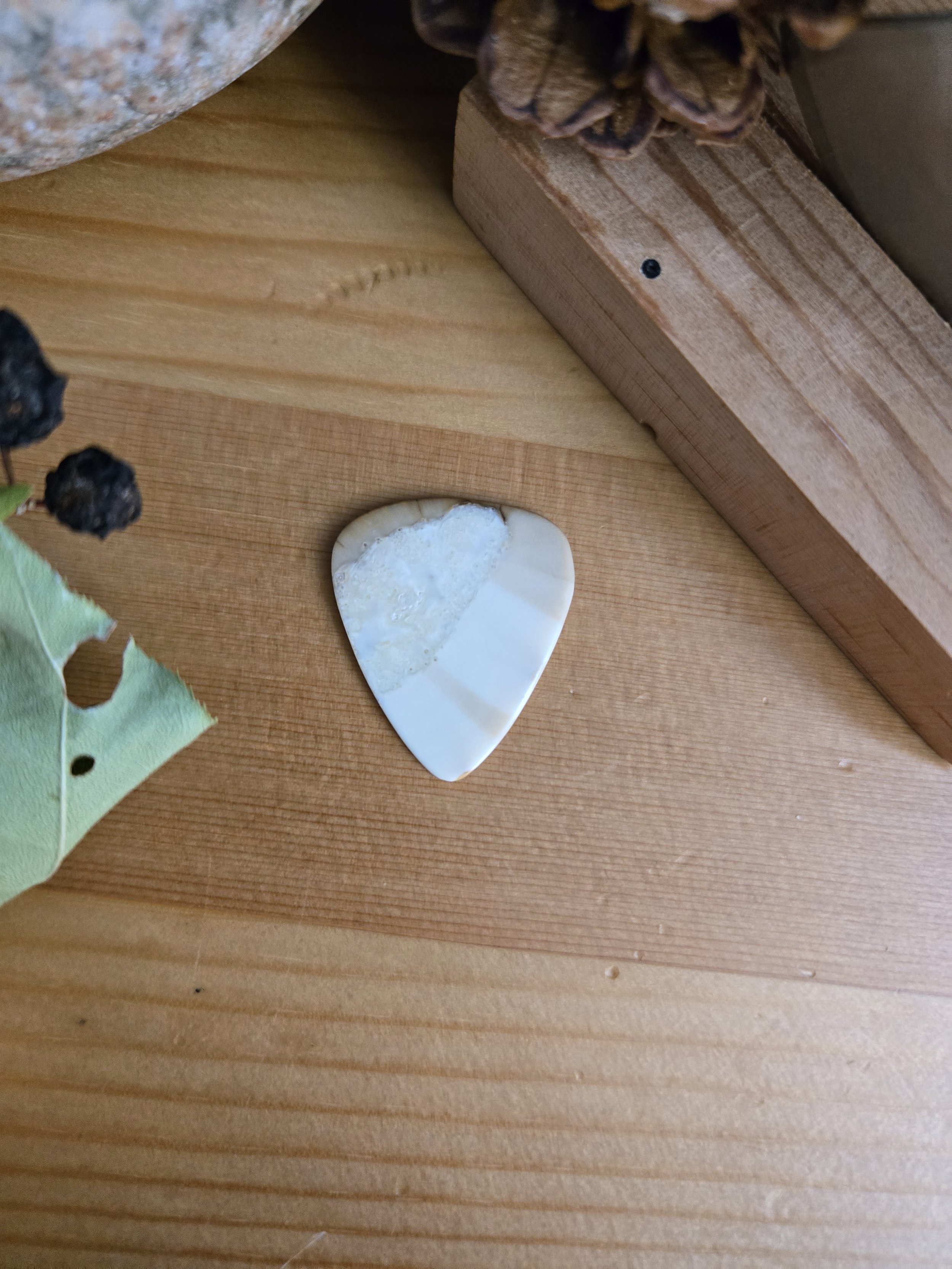 Old Walrus Ivory Guitar Pick #OW2